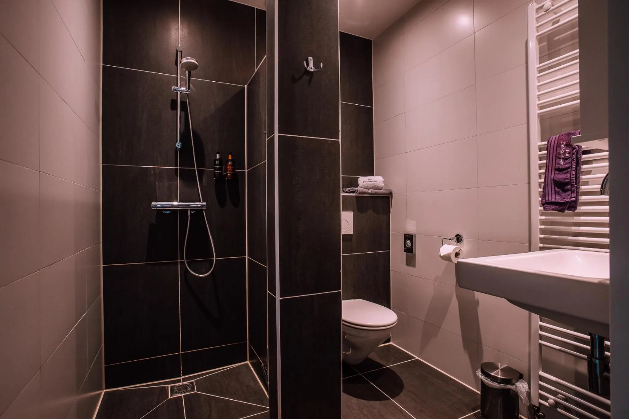 Shower in B&B/Boertel de Meander