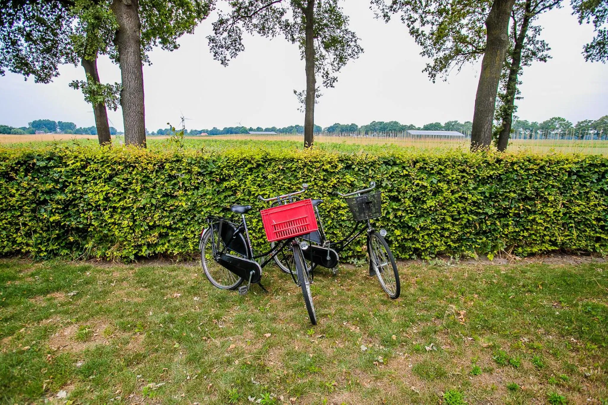 Garden in B&B/Boertel de Meander