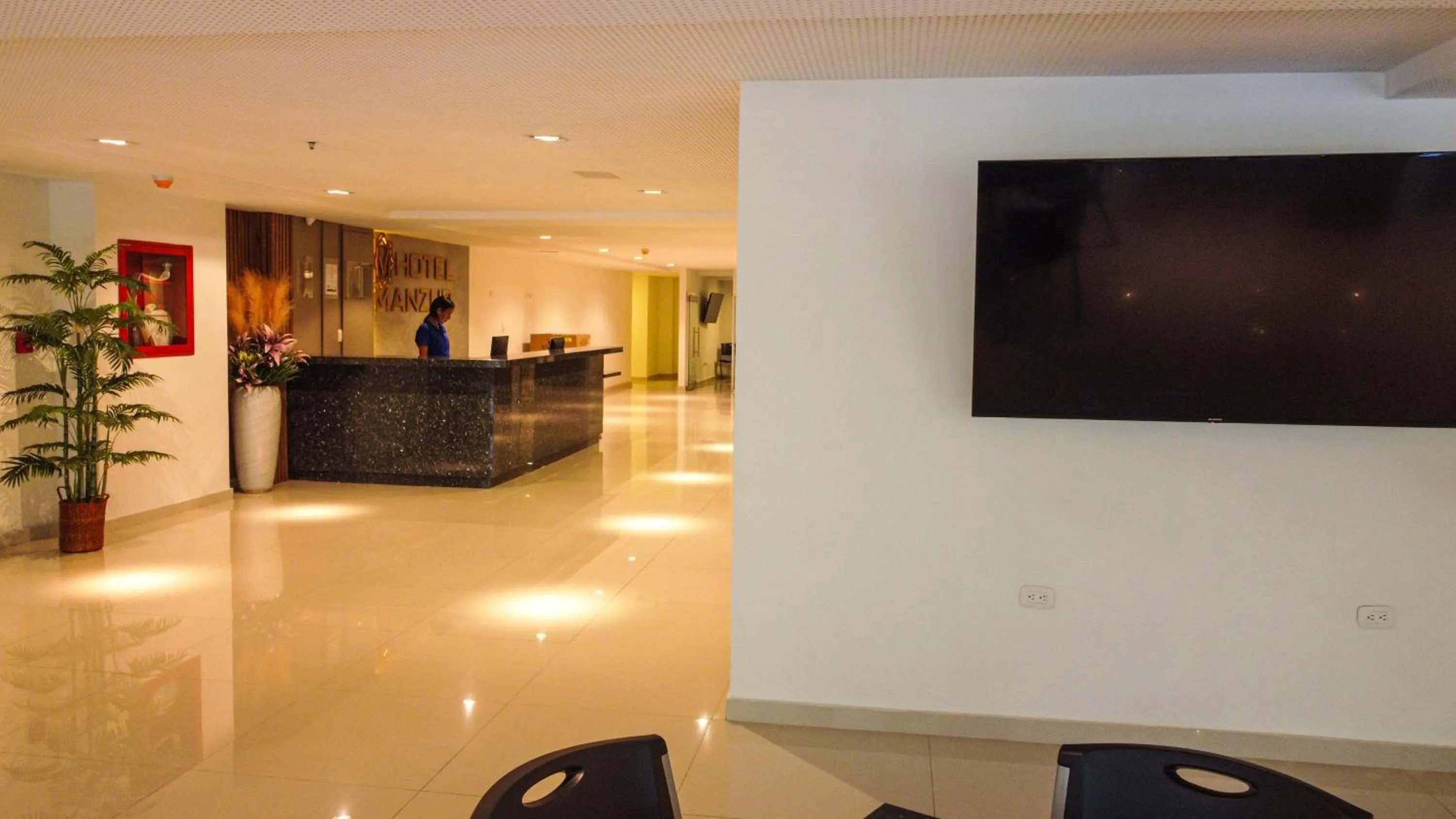 TV and multimedia in HOTEL MANZUR