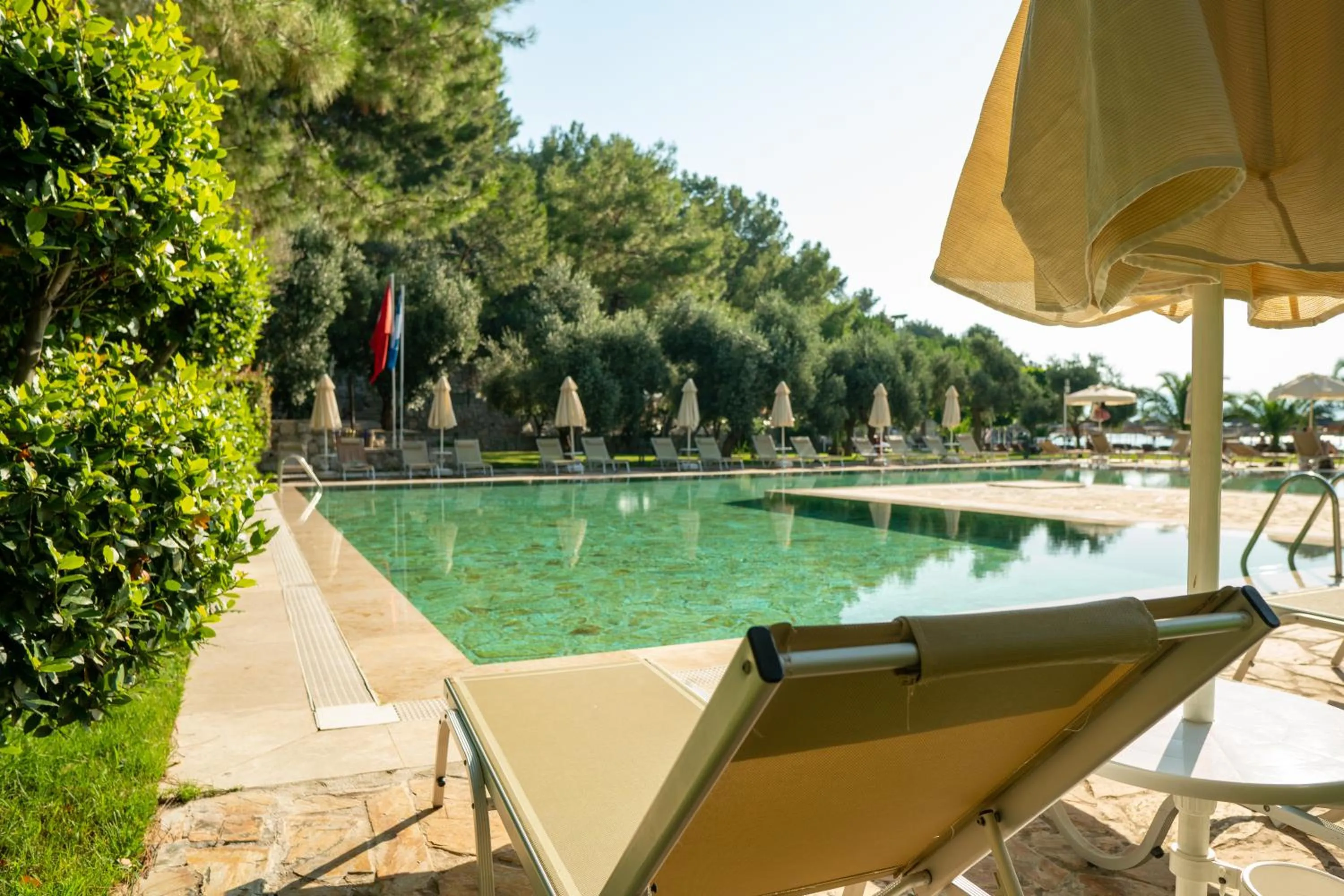 Pool view in TUI BLUE Seno - Adults Only