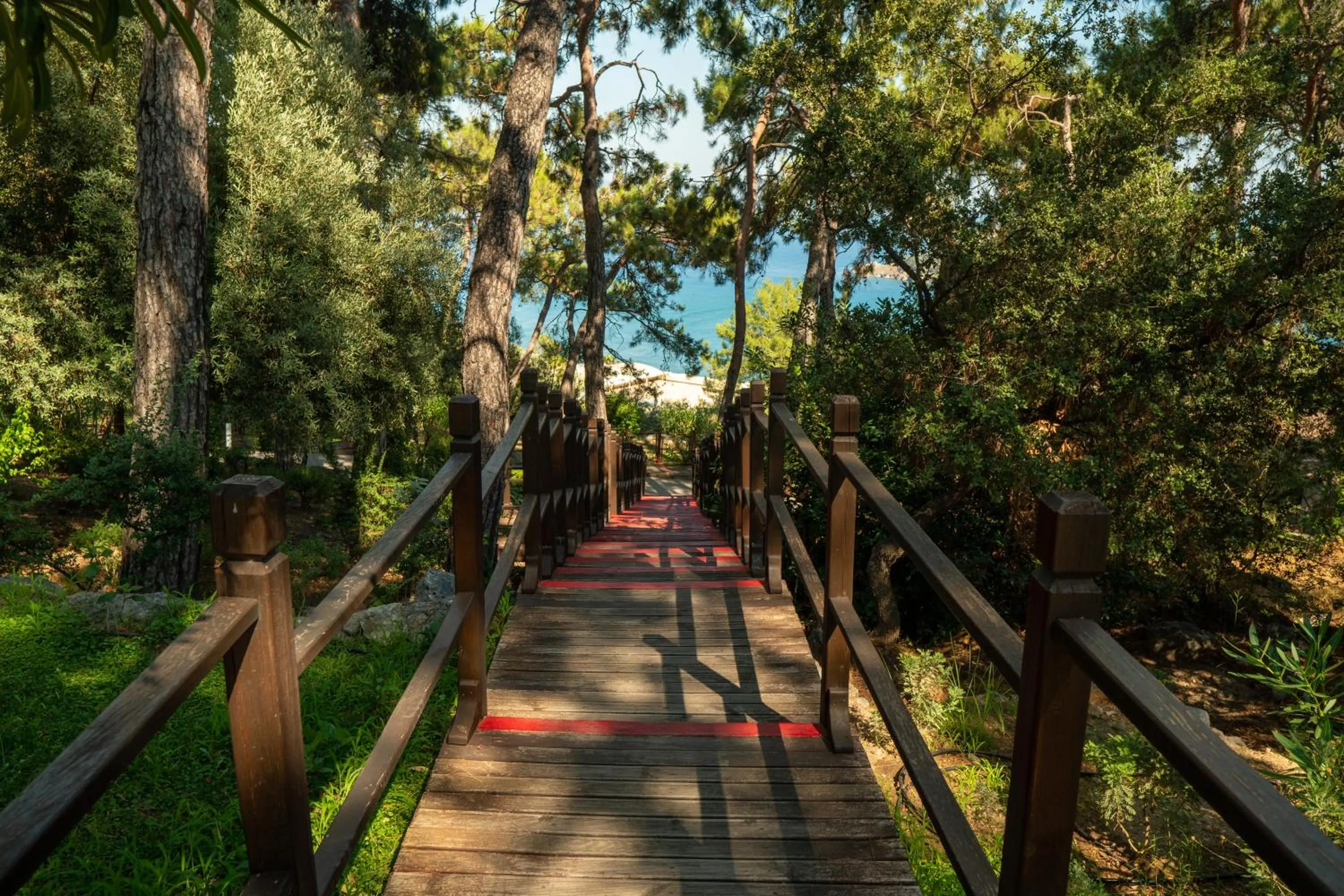 Garden in TUI BLUE Seno - Adults Only