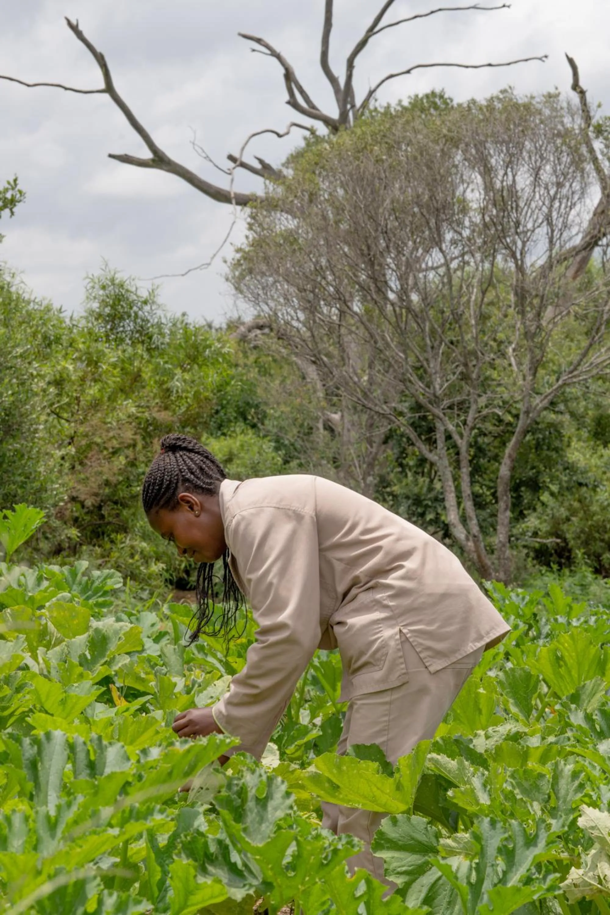 Natural landscape in FARMHOUSE58