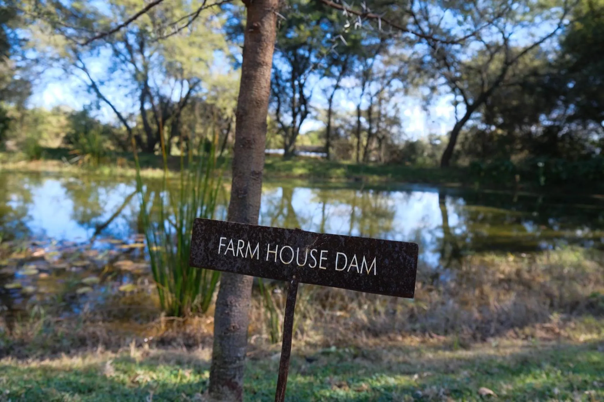 Natural landscape in FARMHOUSE58