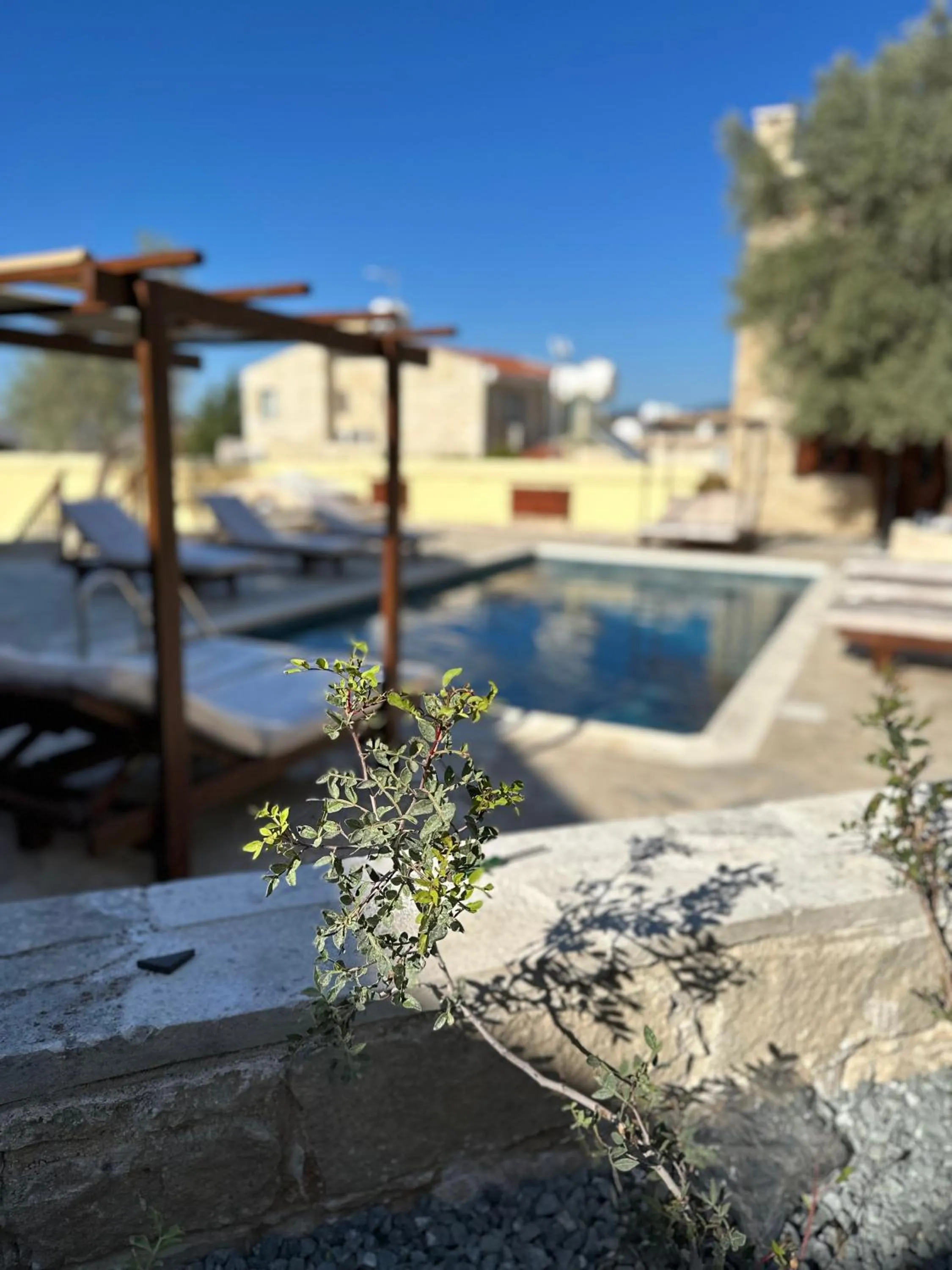 Day in Stone Court Boutique Studios