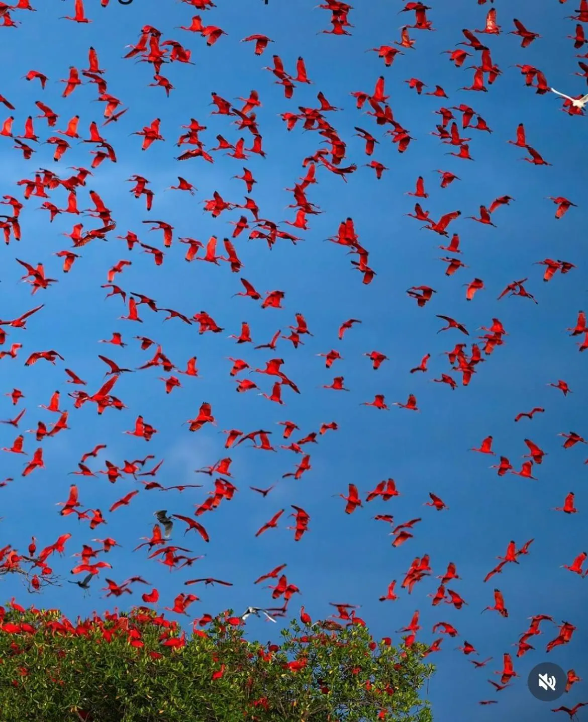 Natural landscape in Pousada Del Mare