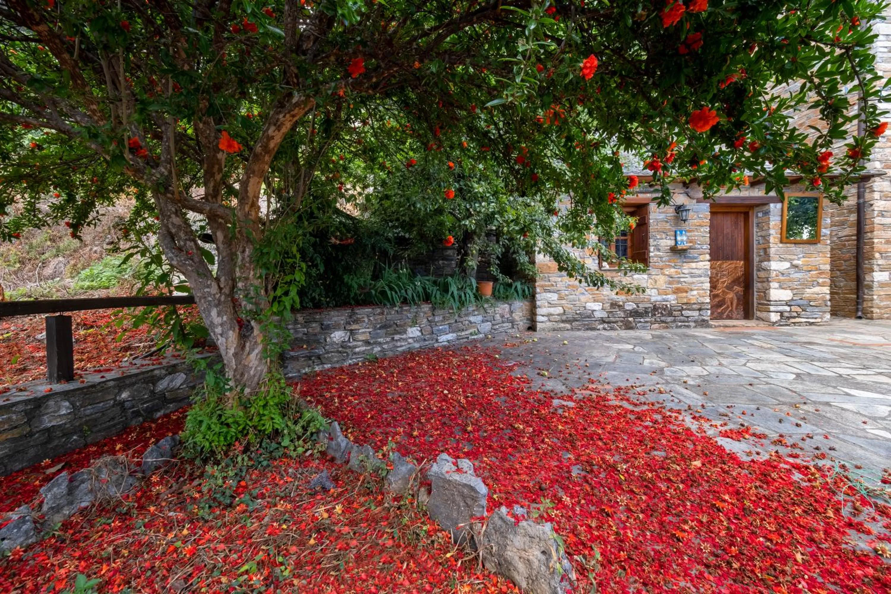 Garden in Palios Stathmos
