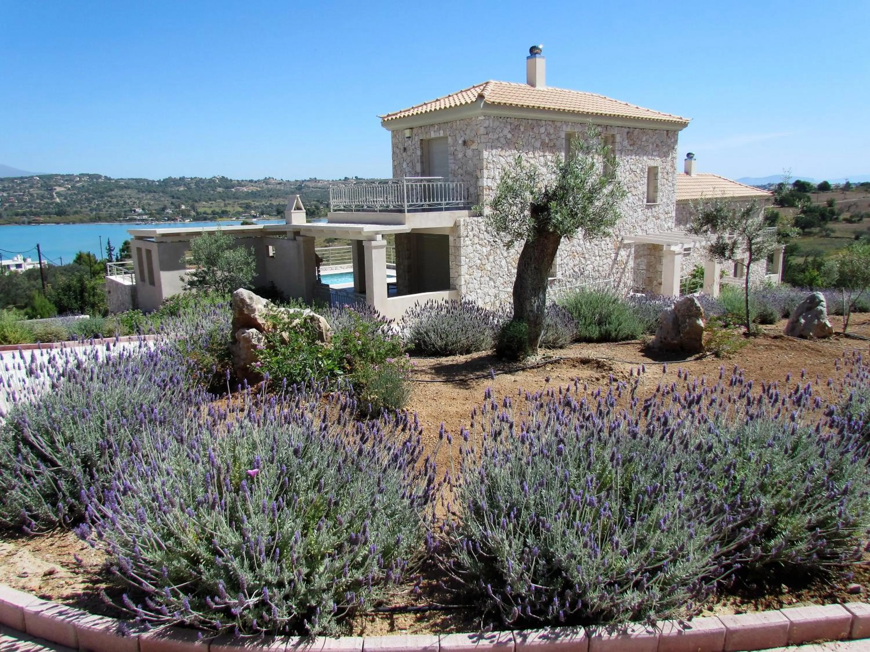 Garden in Edem Resort