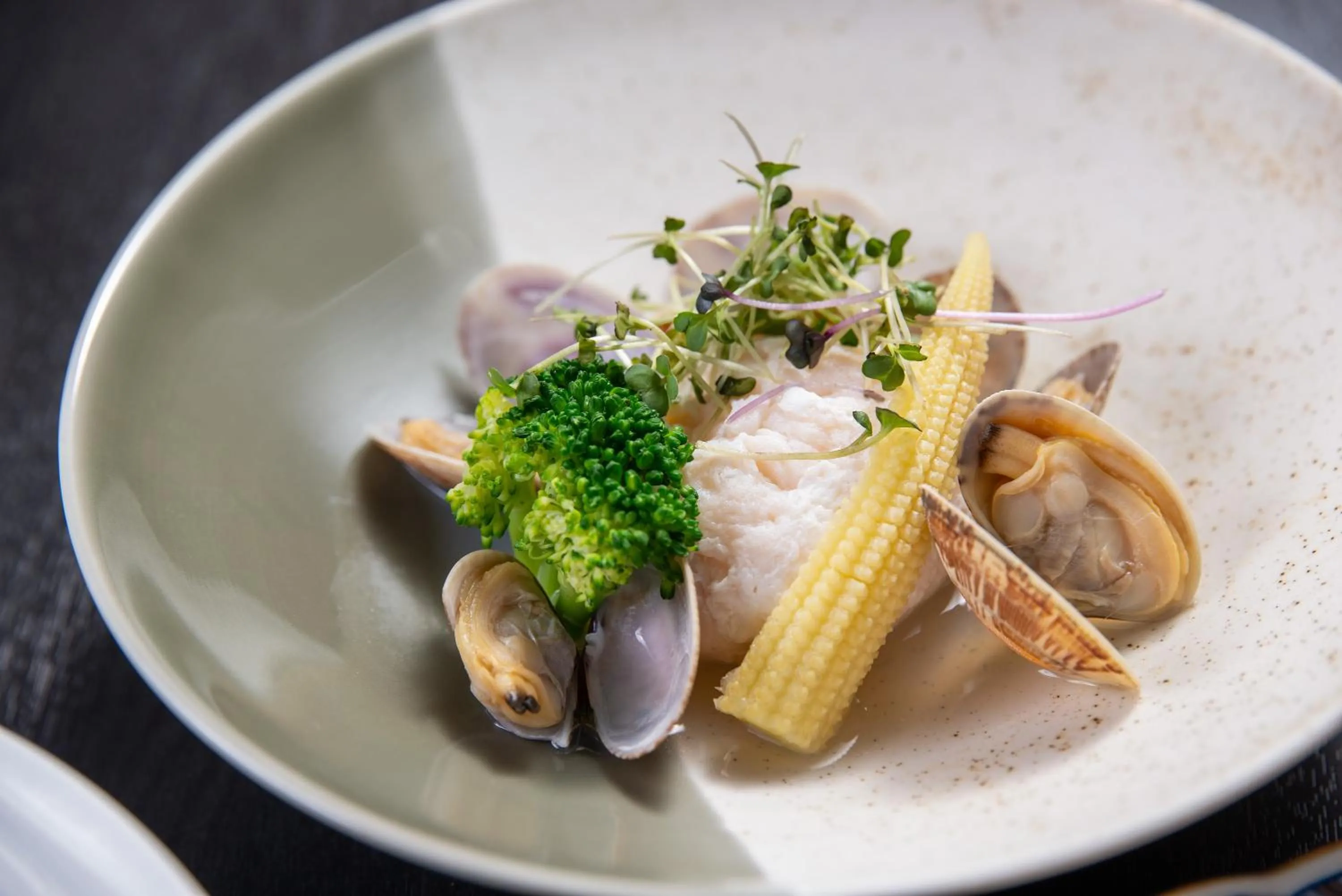 Restaurant/places to eat in Ureshino Onsen Yadoya Uchiroji