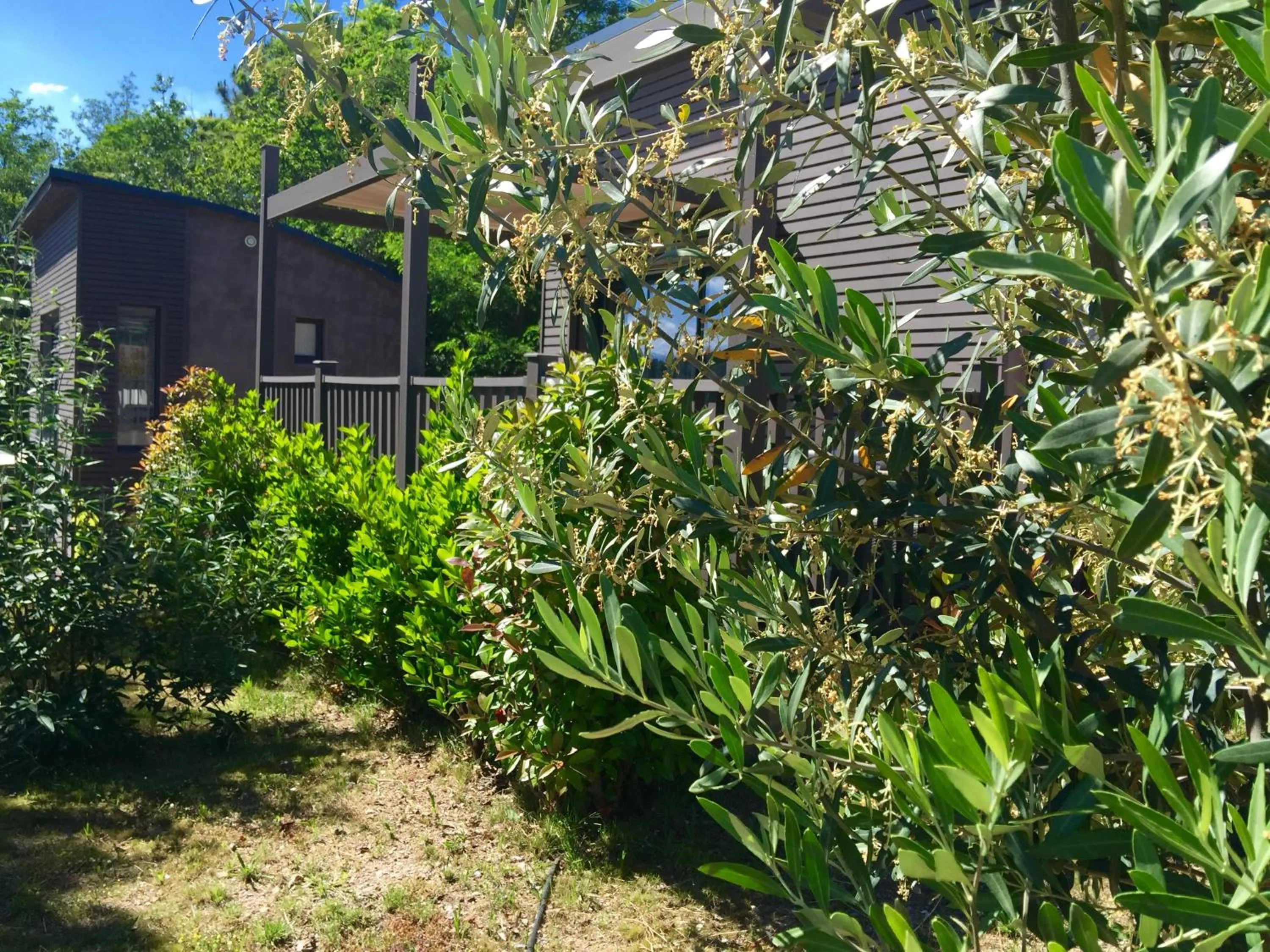 Patio in Domaine de Chalvêches Hôtel SPA 4*