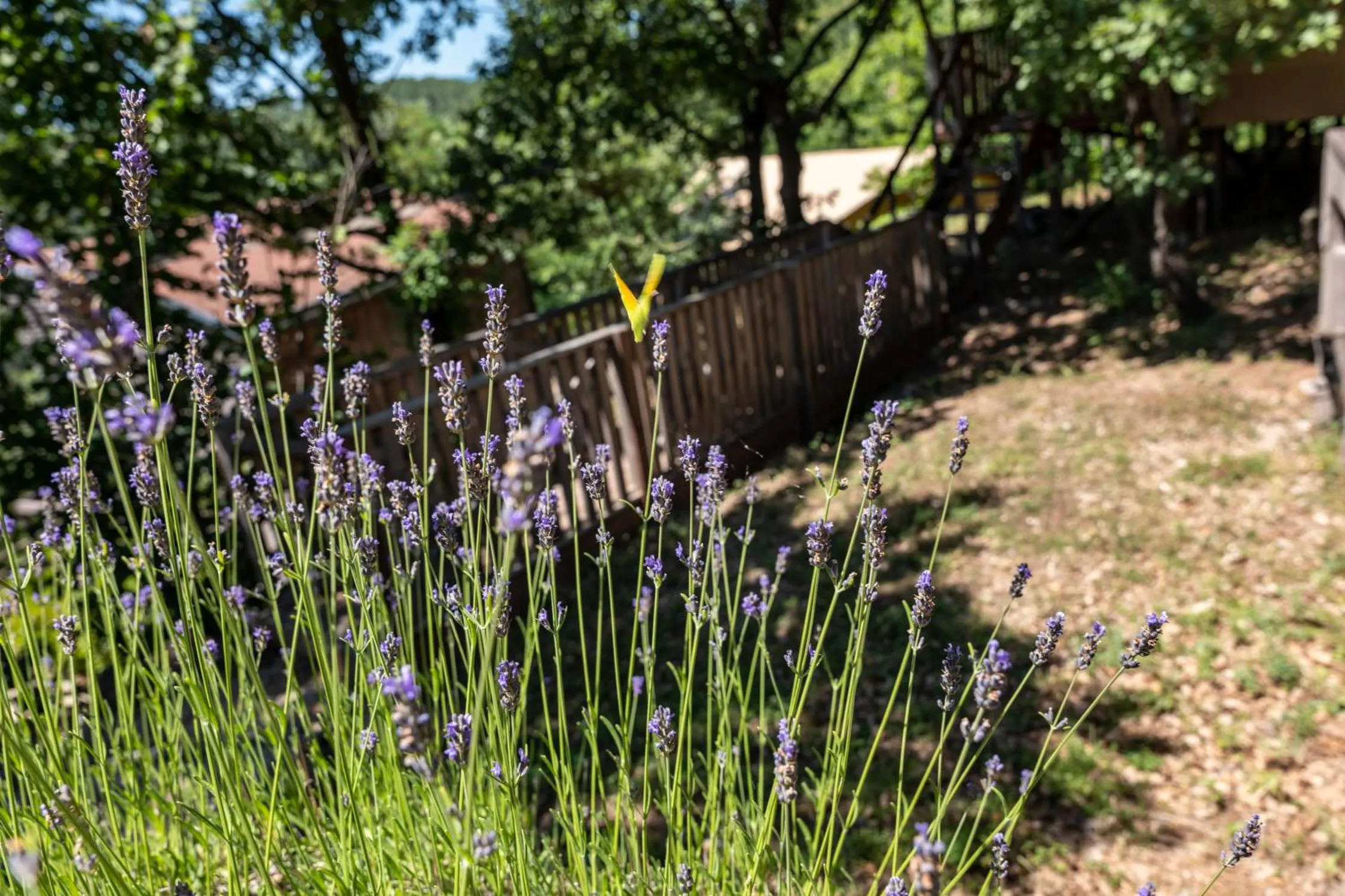 Natural landscape in Domaine de Chalvêches Hôtel SPA 4*