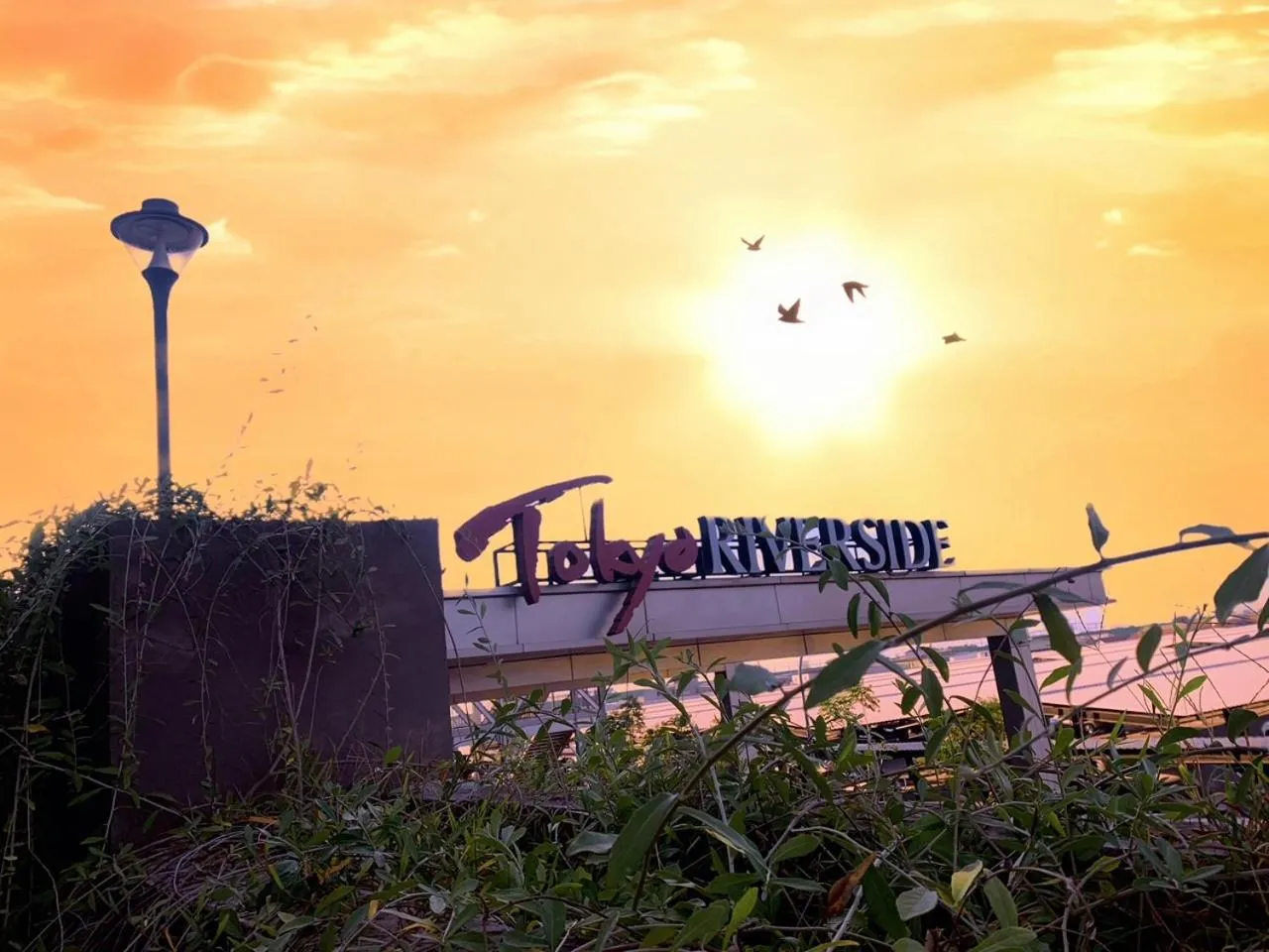 Sunset in Apartemen Tokyo Riverside PIK 2 by Benchmark