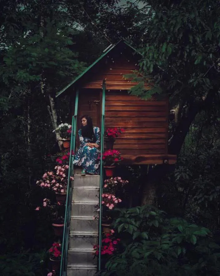Day in Tree House Wayanad