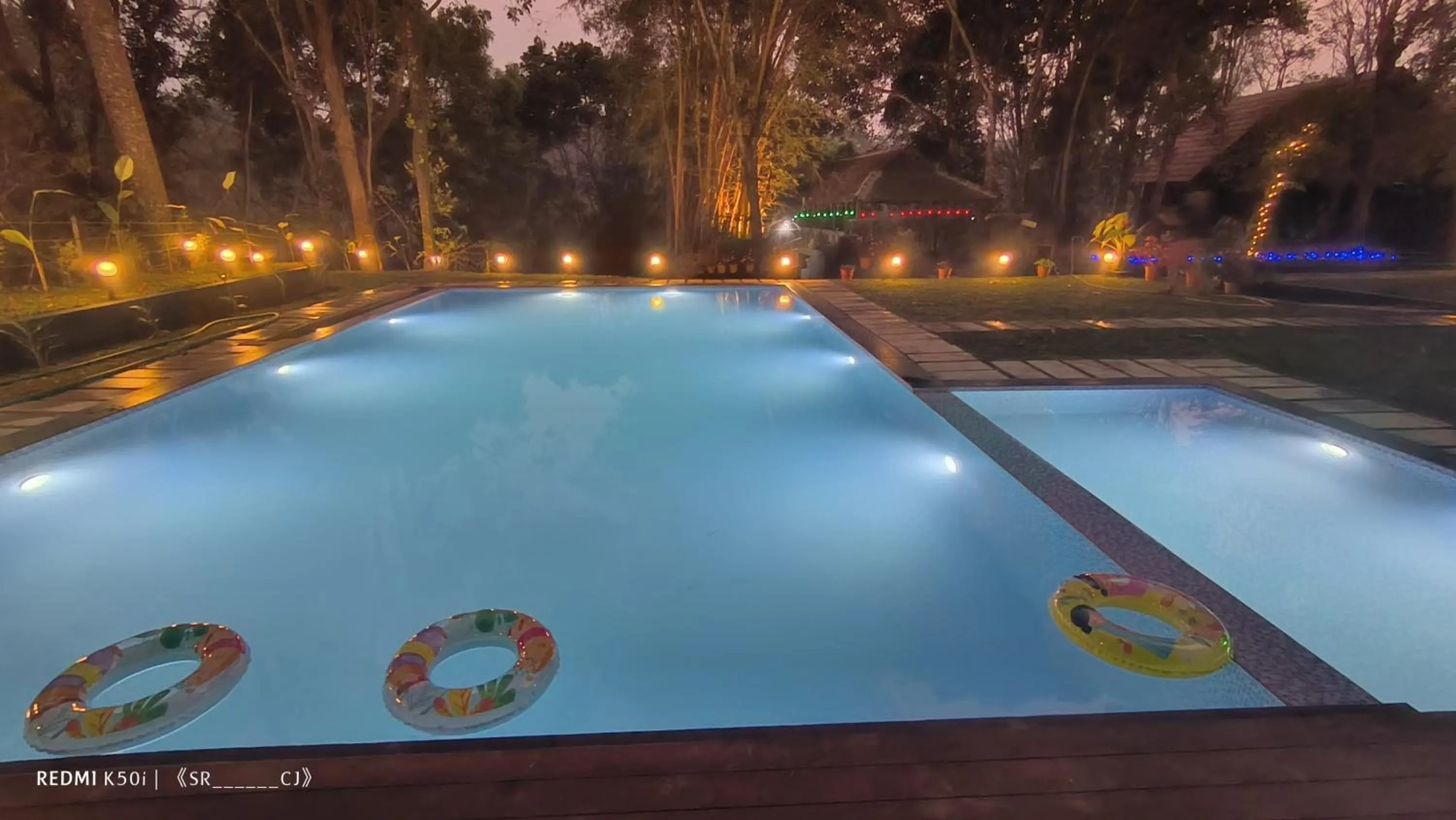 Swimming pool in Tree House Wayanad