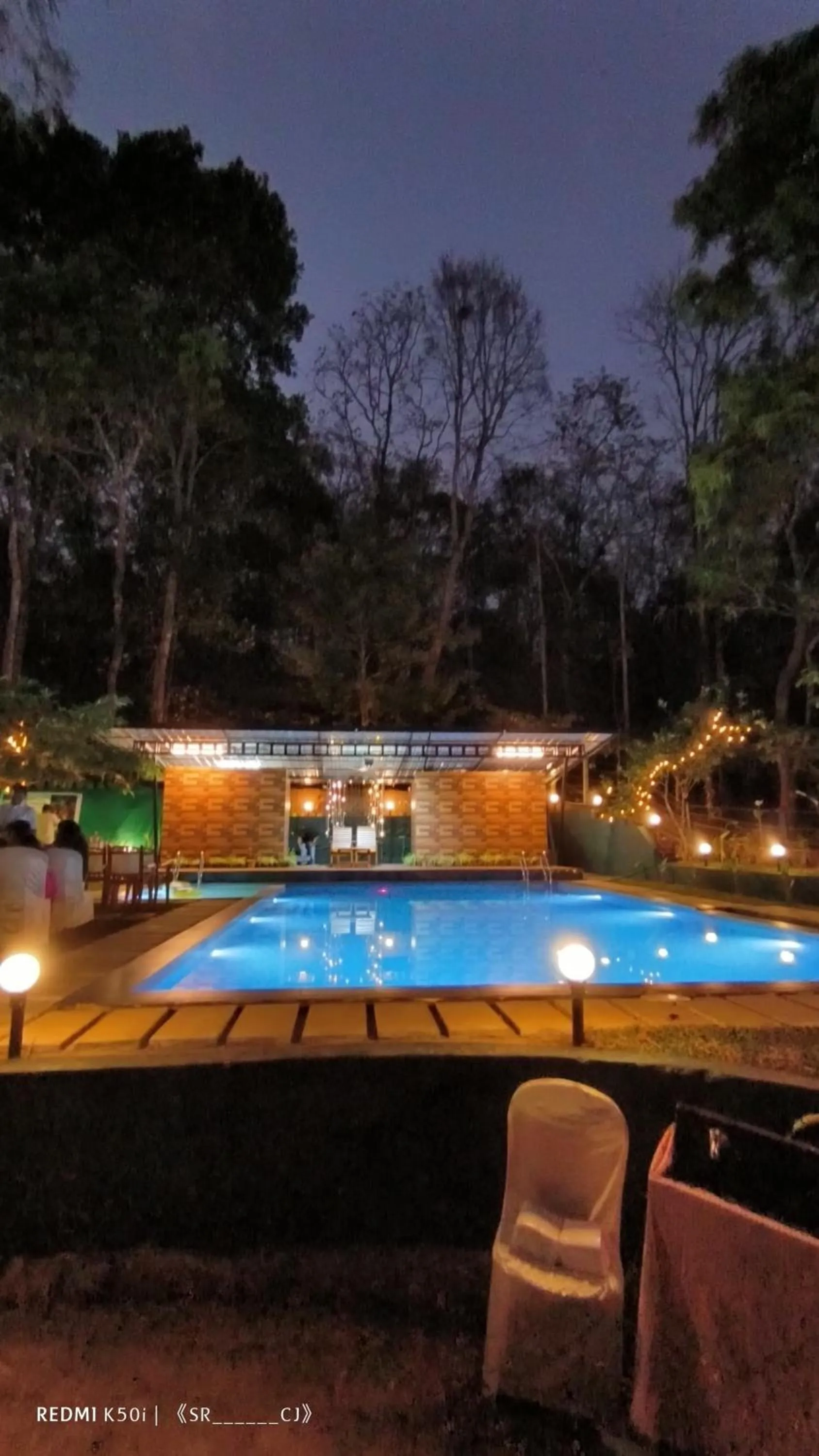 Swimming pool in Tree House Wayanad