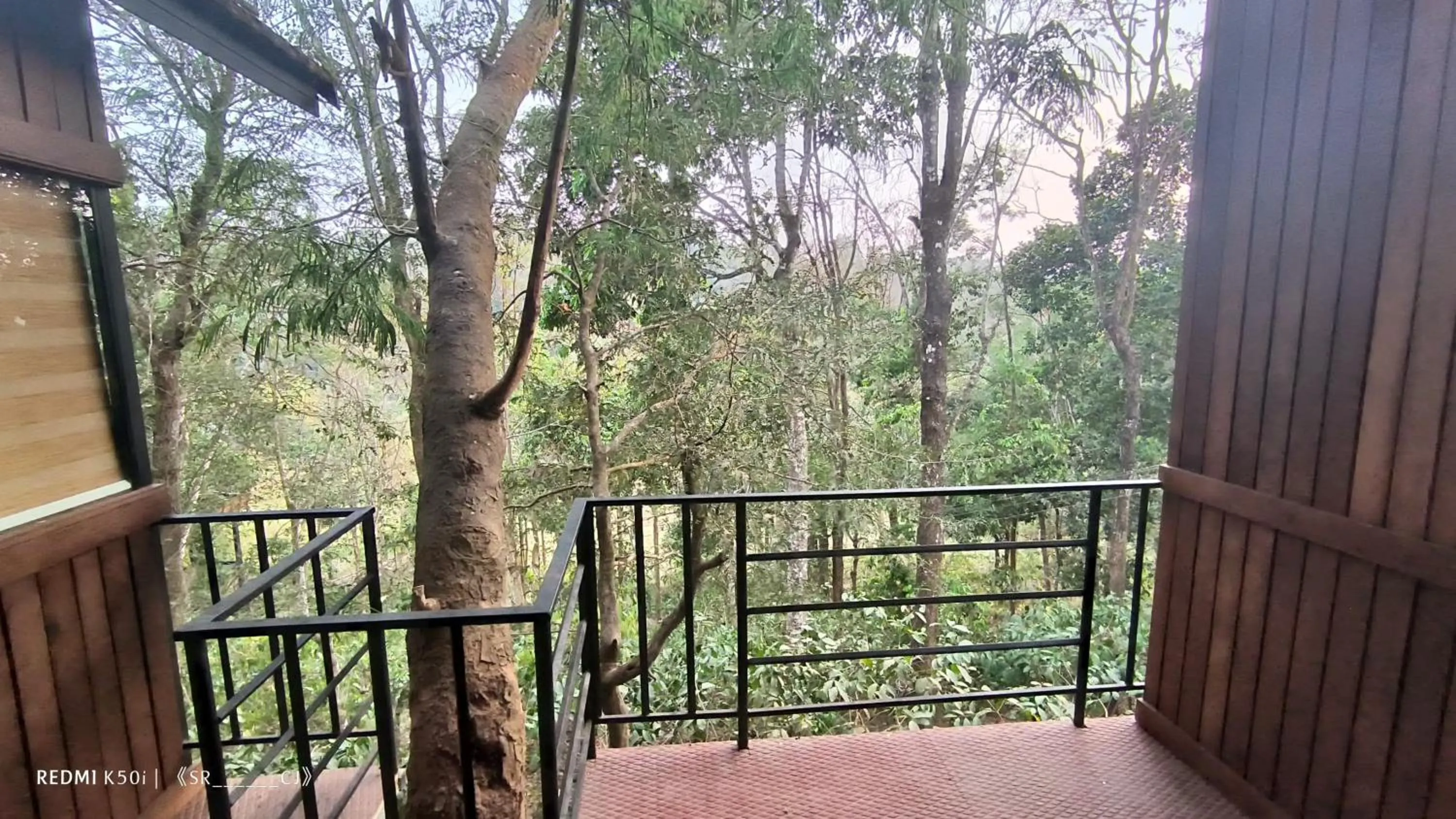 View (from property/room) in Tree House Wayanad