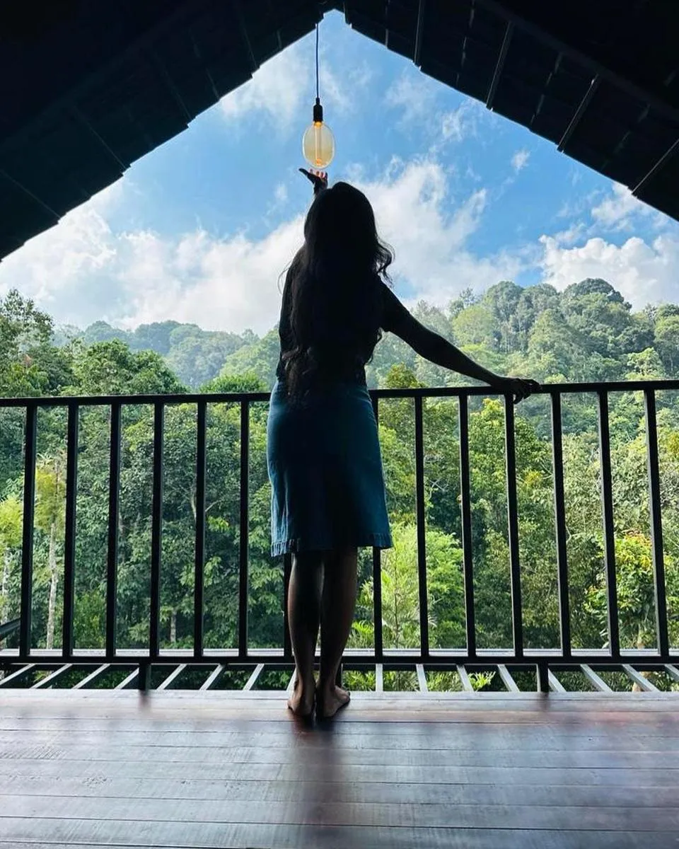 Day in Tree House Wayanad