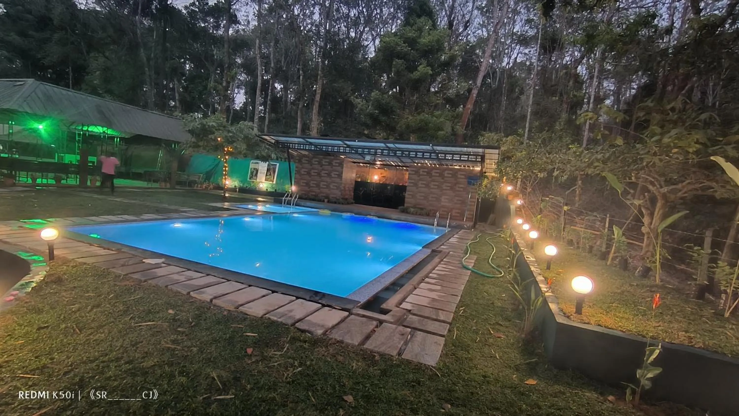 Swimming pool in Tree House Wayanad