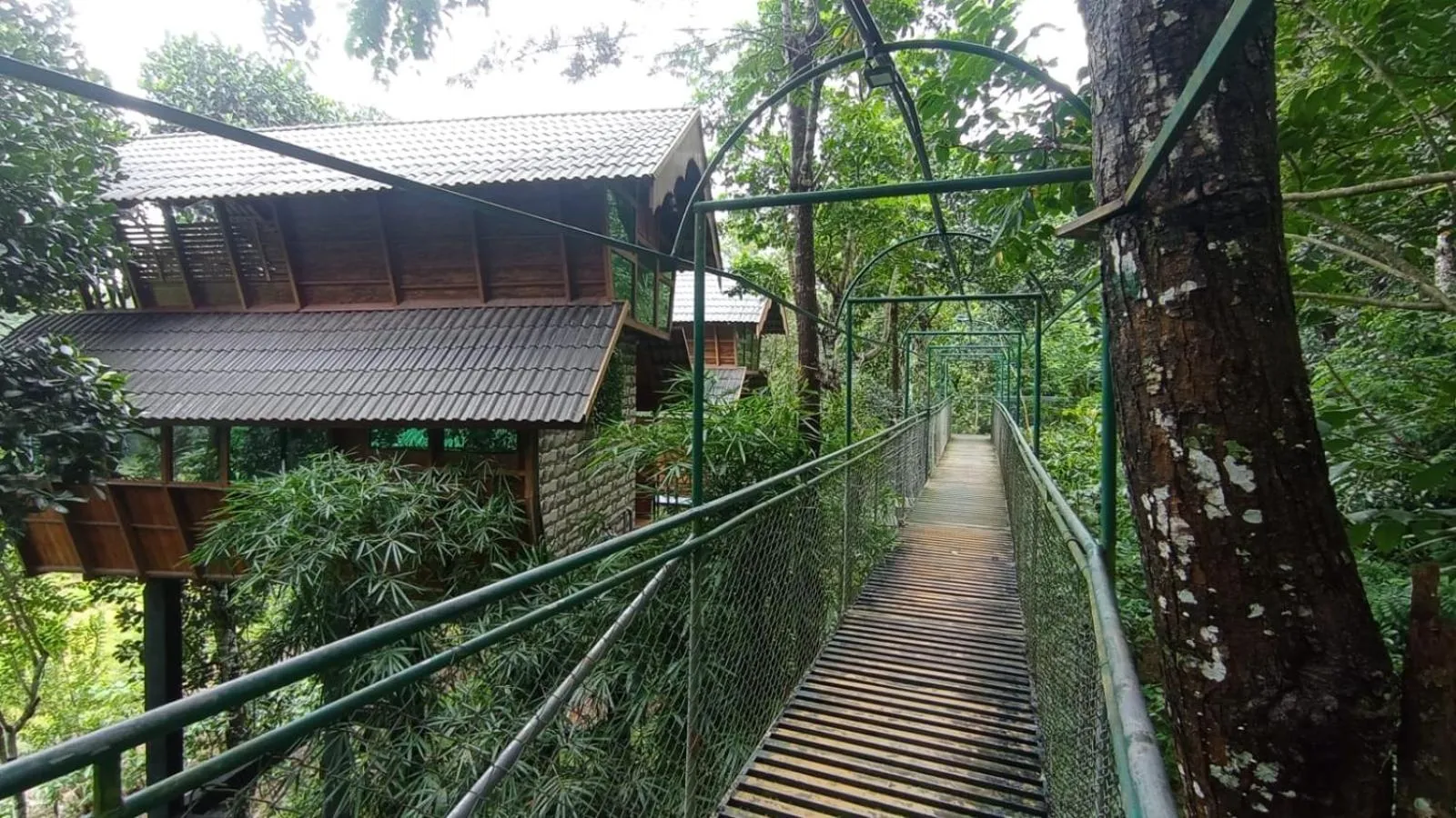 Day in Tree House Wayanad