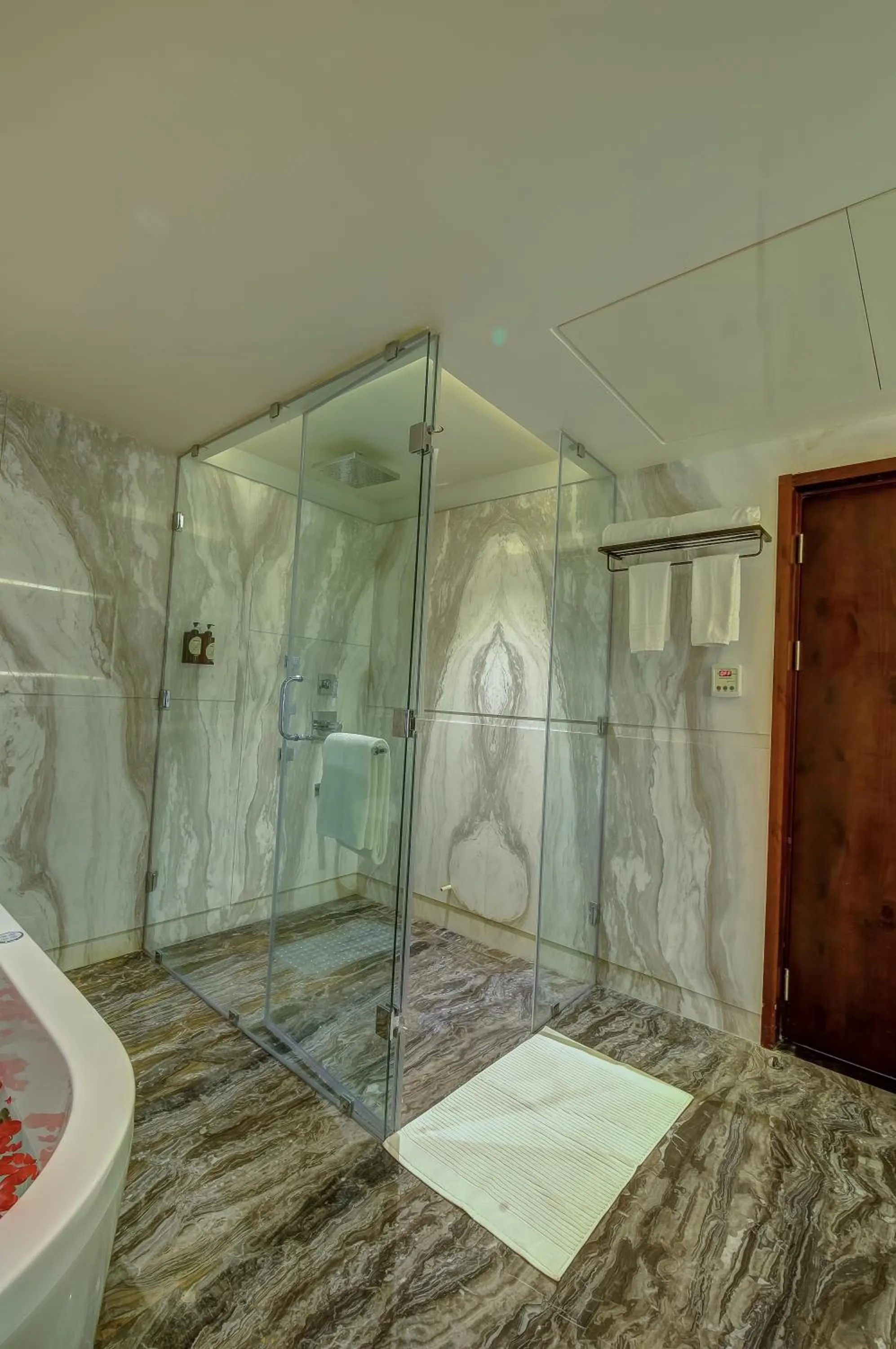 Shower in Regenta Central Javaji Mysore