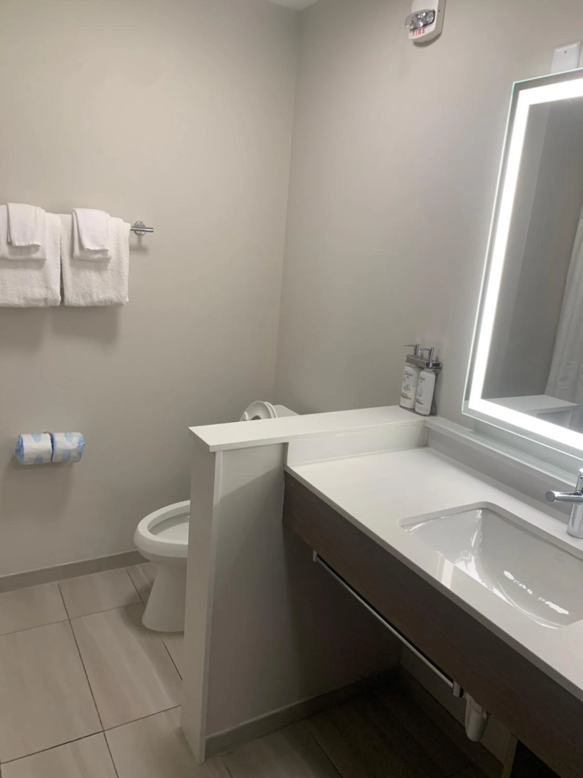 Toilet in Holiday Inn Express Jesup by IHG