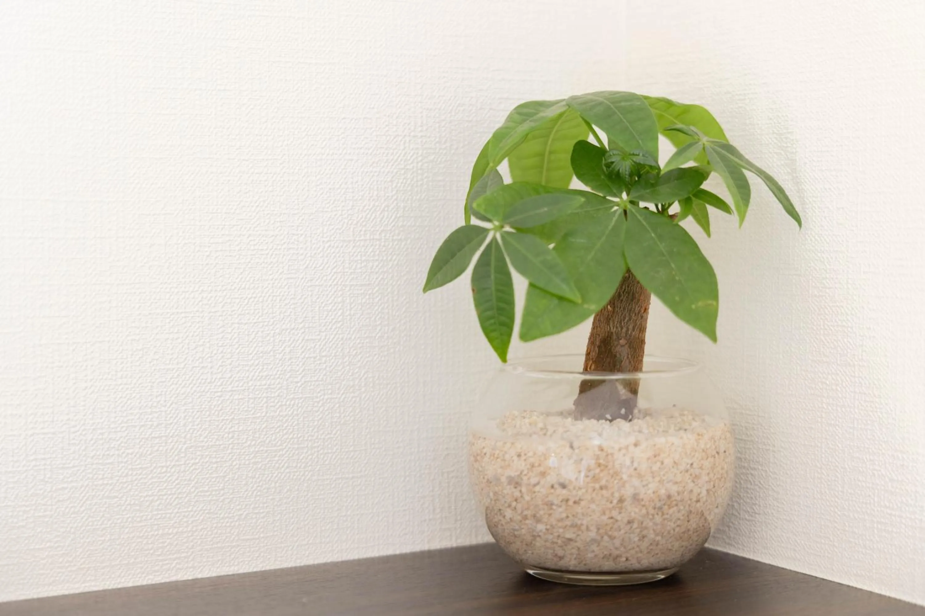 Decorative detail in 錦系町天空樹景觀飯店 Skytree View Kinshicho - crib free