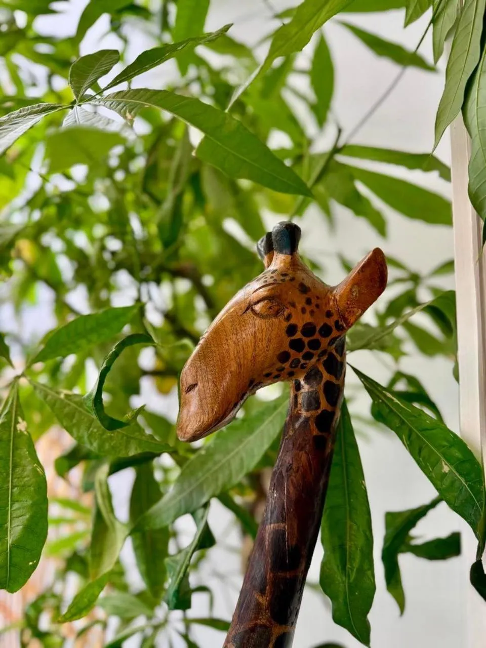 Decorative detail in Riad Dollar Des Sables & Spa