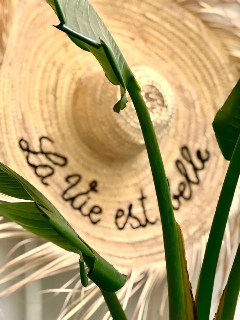 Decorative detail in Riad Dollar Des Sables & Spa