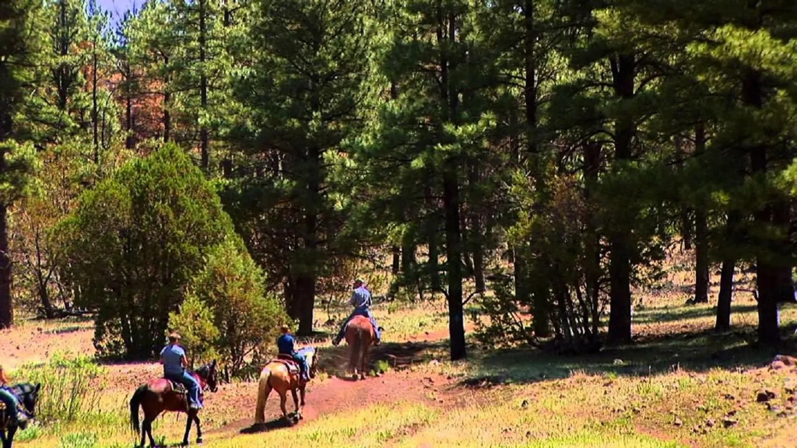 Spring in Northwoods Resort Cabins