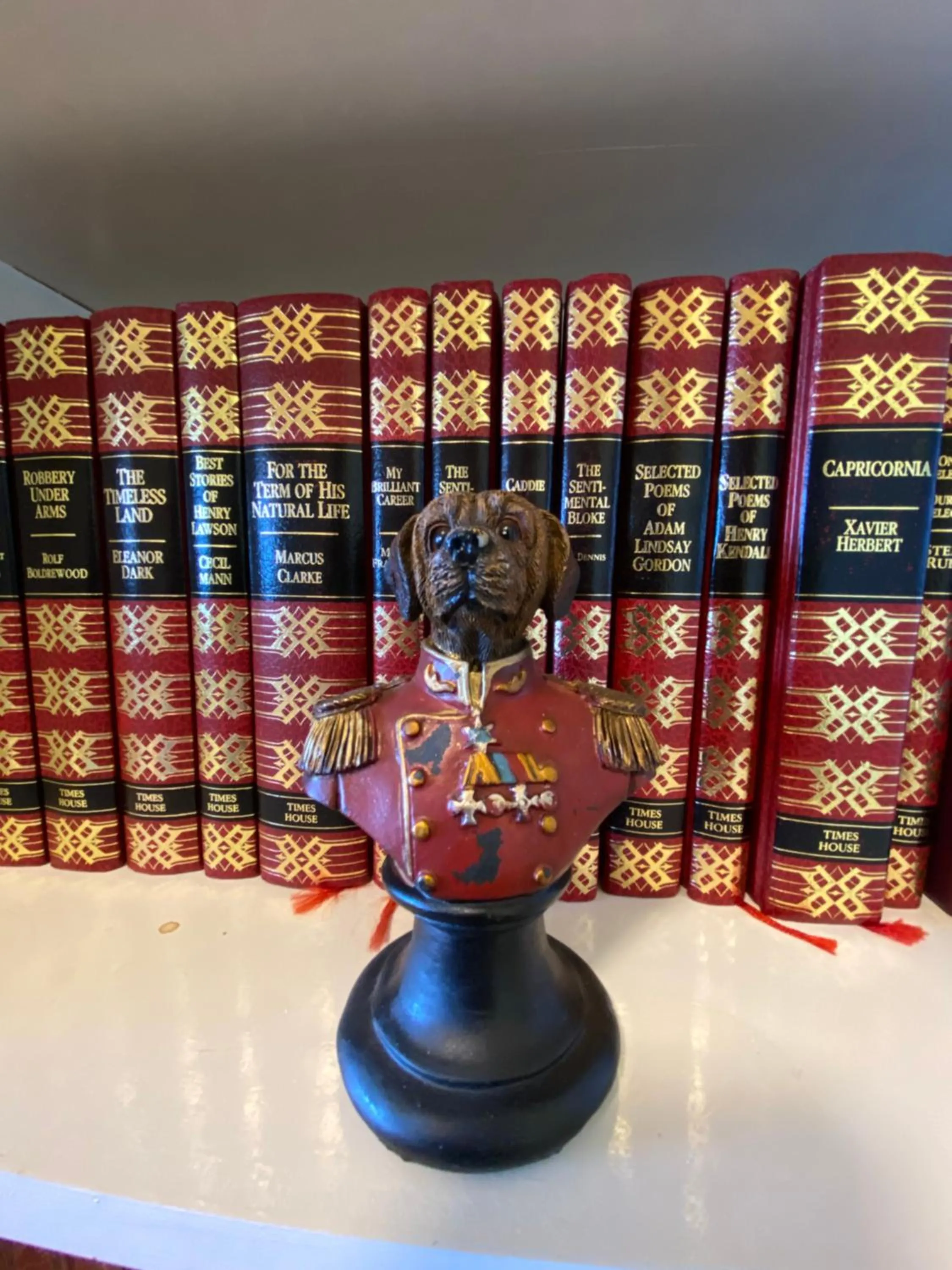 Library in COMMERCIAL HOTEL KANIVA