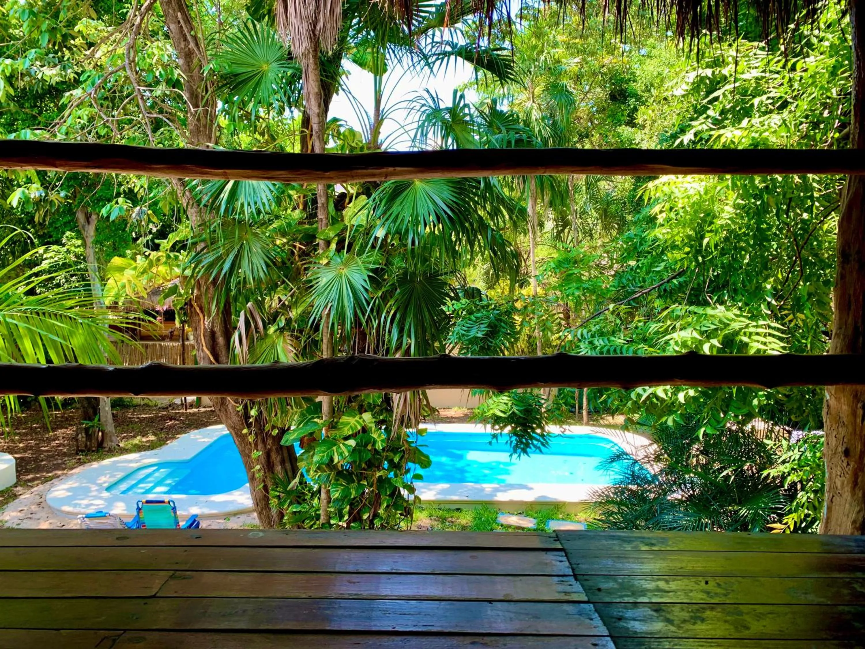 Pool view in Ammare Hotel Boutique