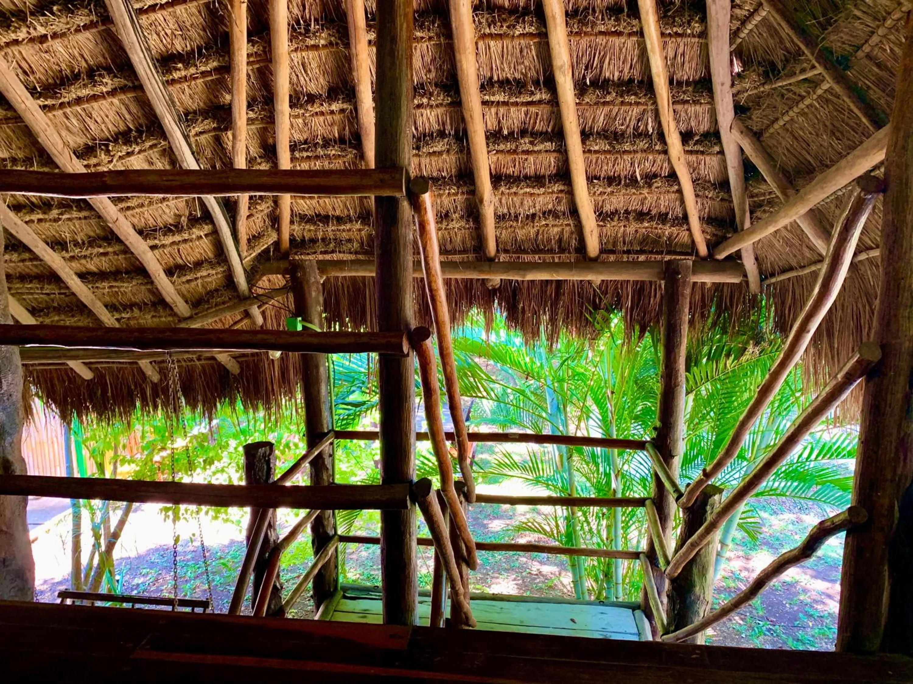 Garden in Ammare Hotel Boutique