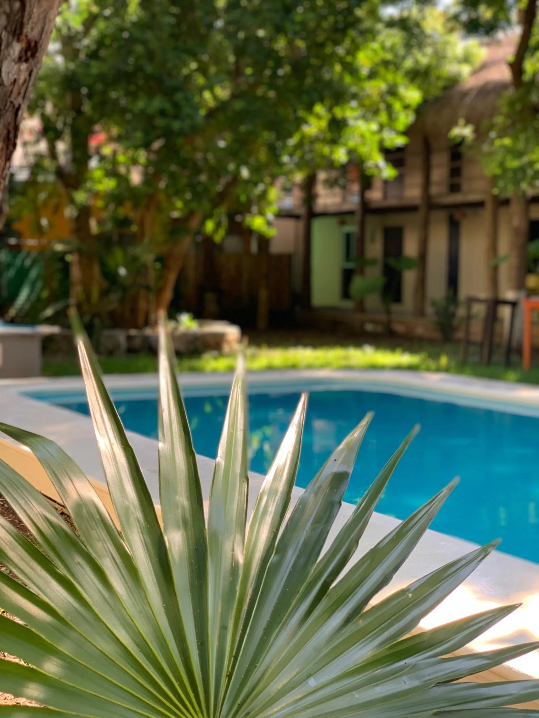 Garden view in Ammare Hotel Boutique