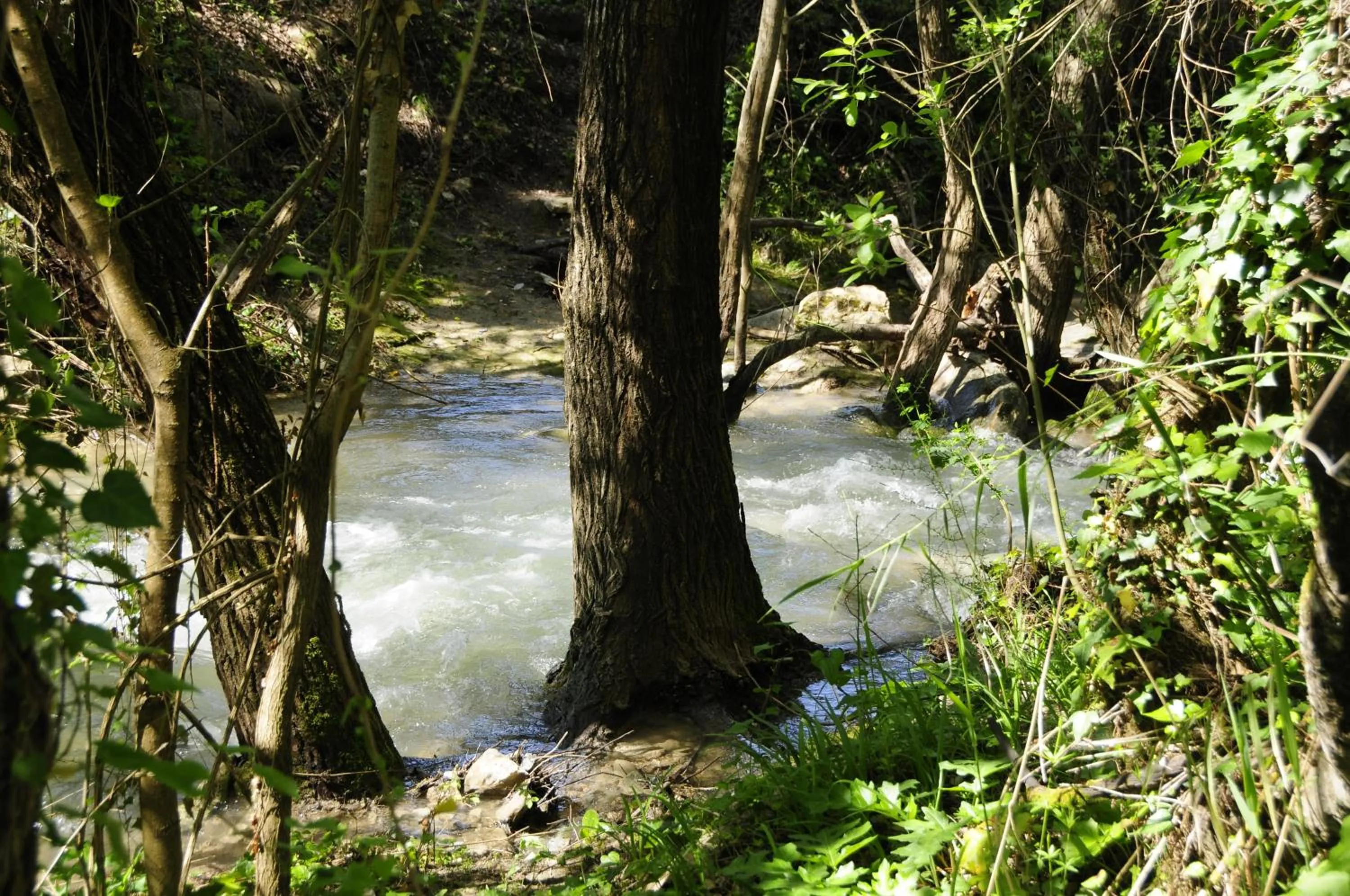 Natural landscape in Il Bevaio Di Corleone