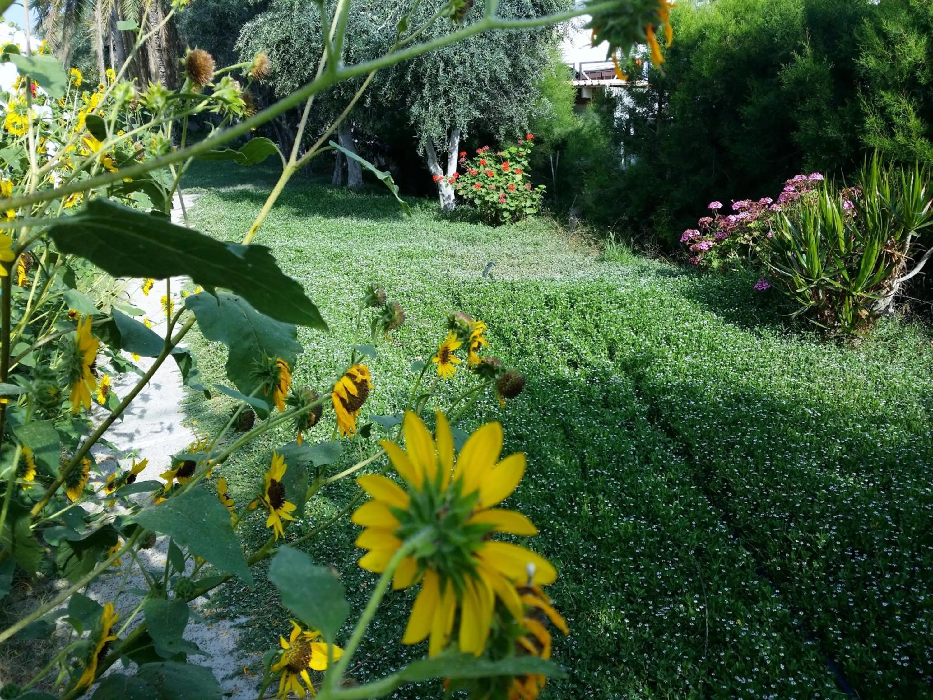 Day in Kkaras Hotel 3 Star