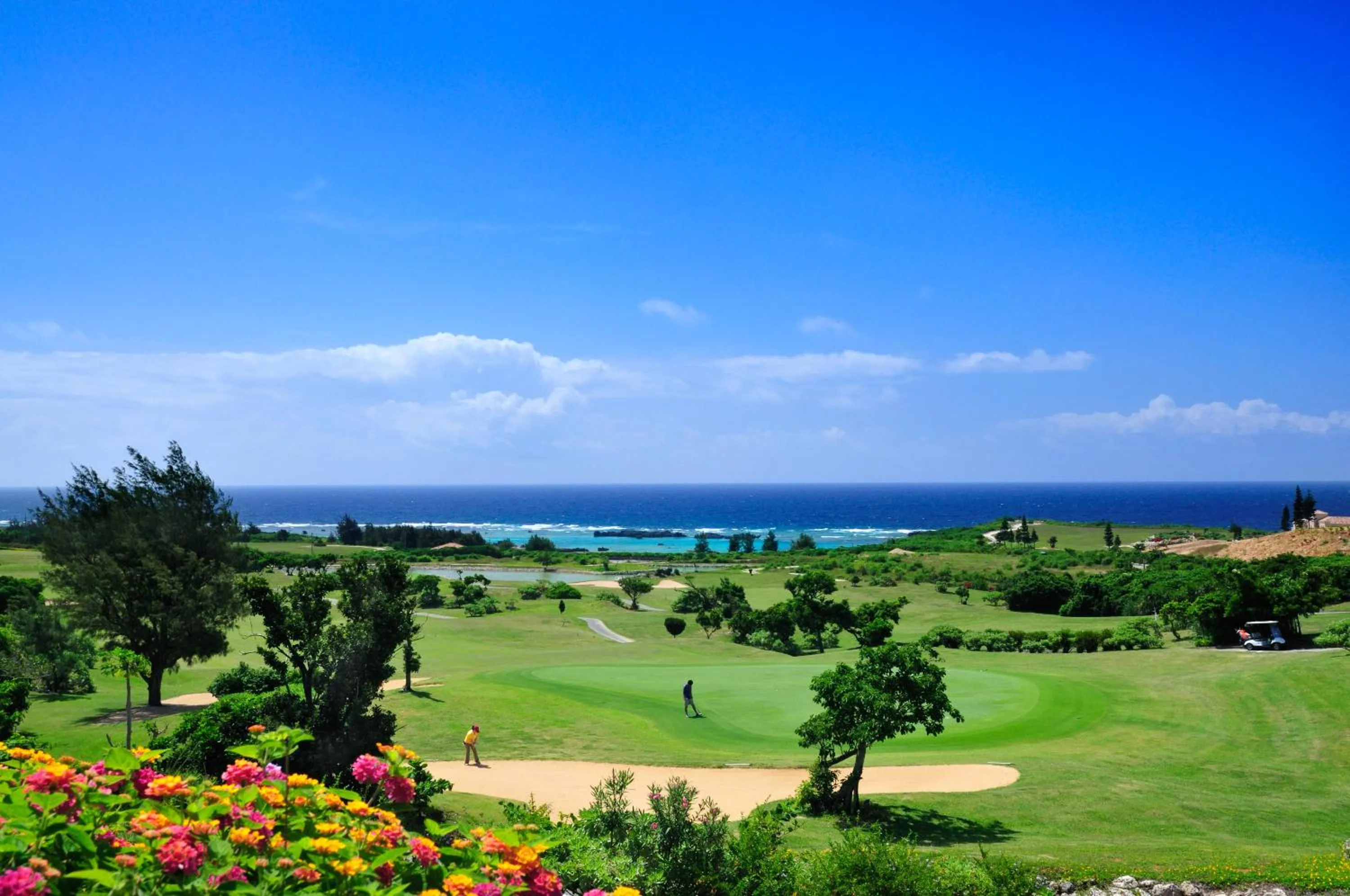 Off site in The Shigira