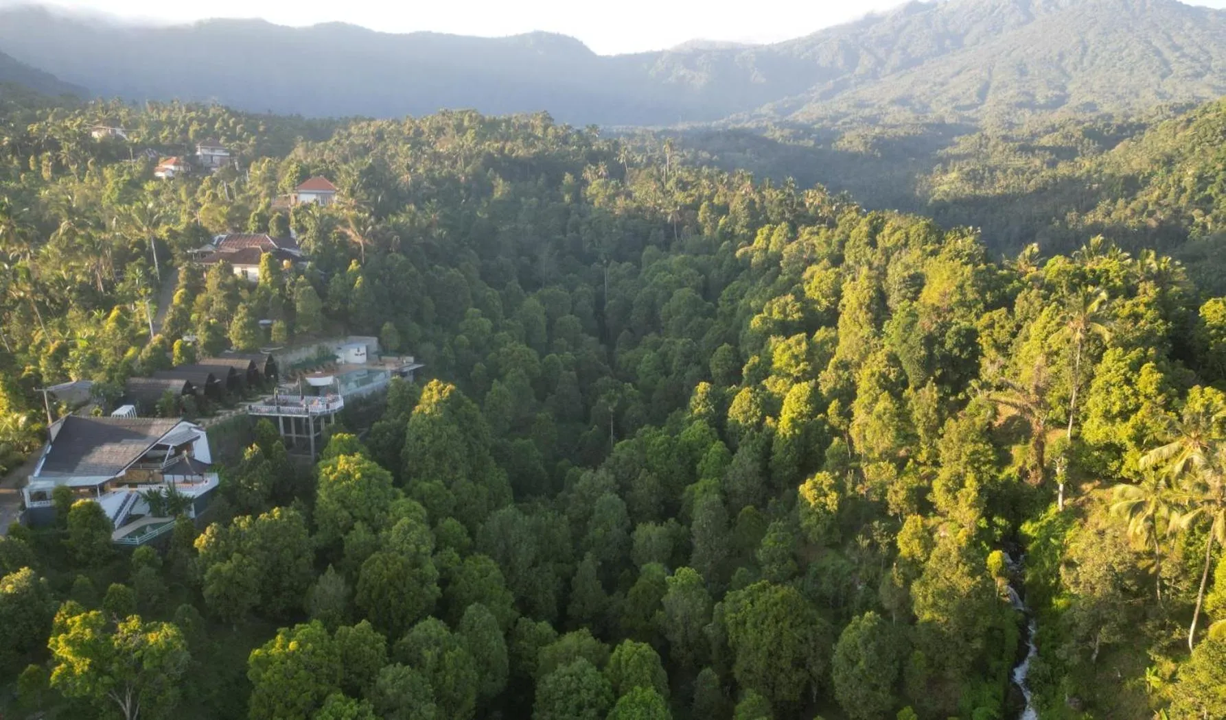 Bird's eye view in Munduk Kupang Sekumpul Villa
