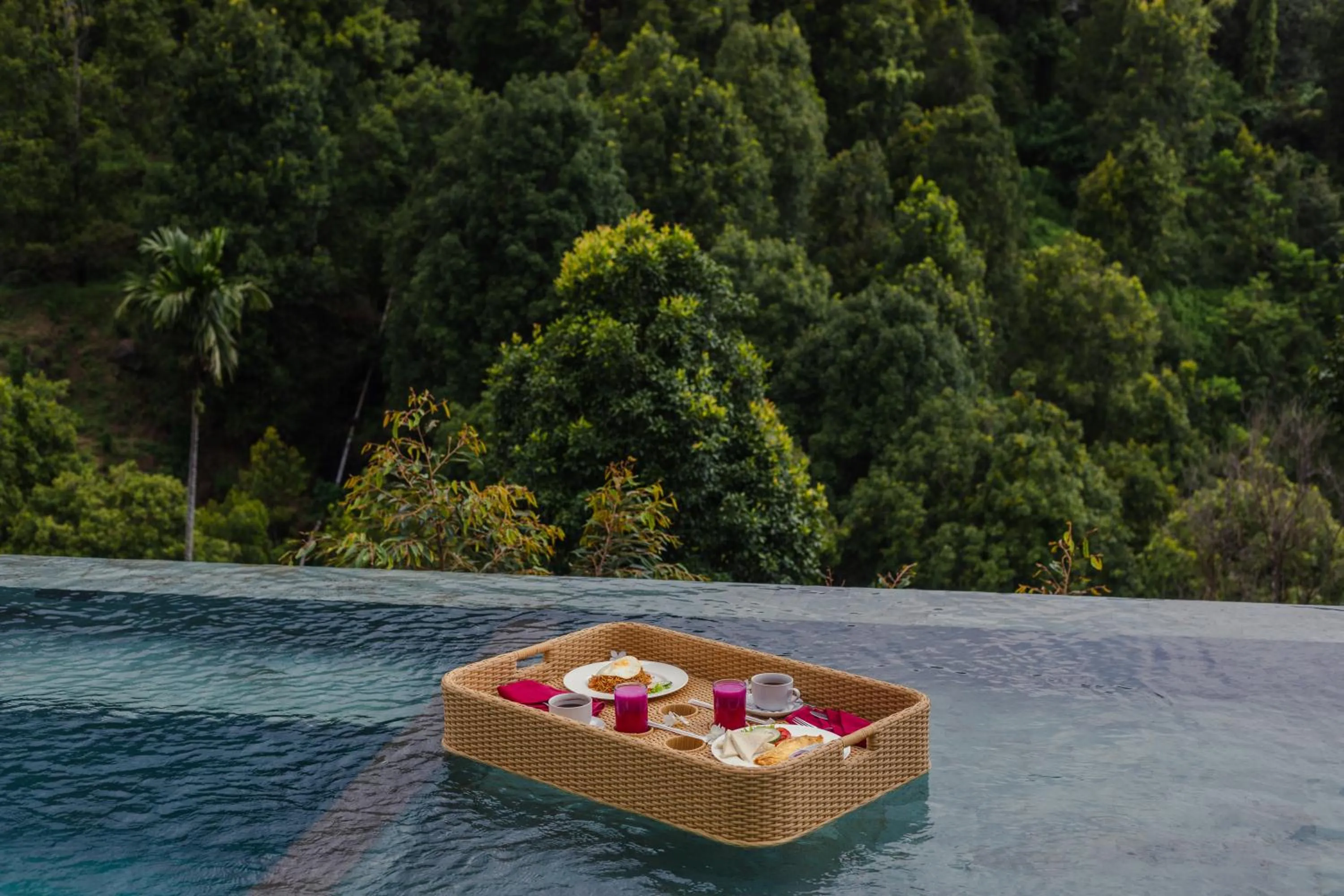 Day in Munduk Kupang Sekumpul Villa