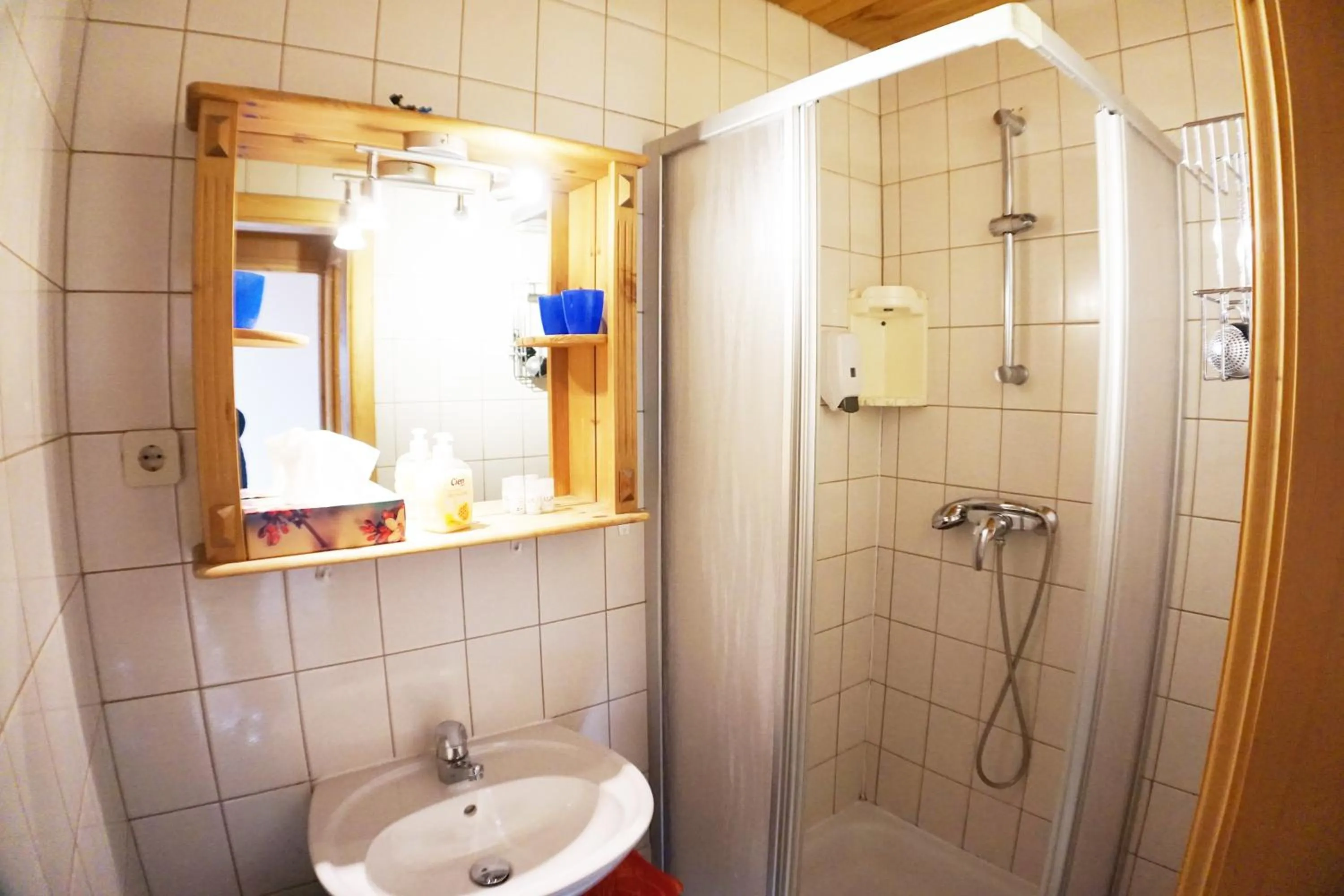 Bathroom in Karawanken Lodge