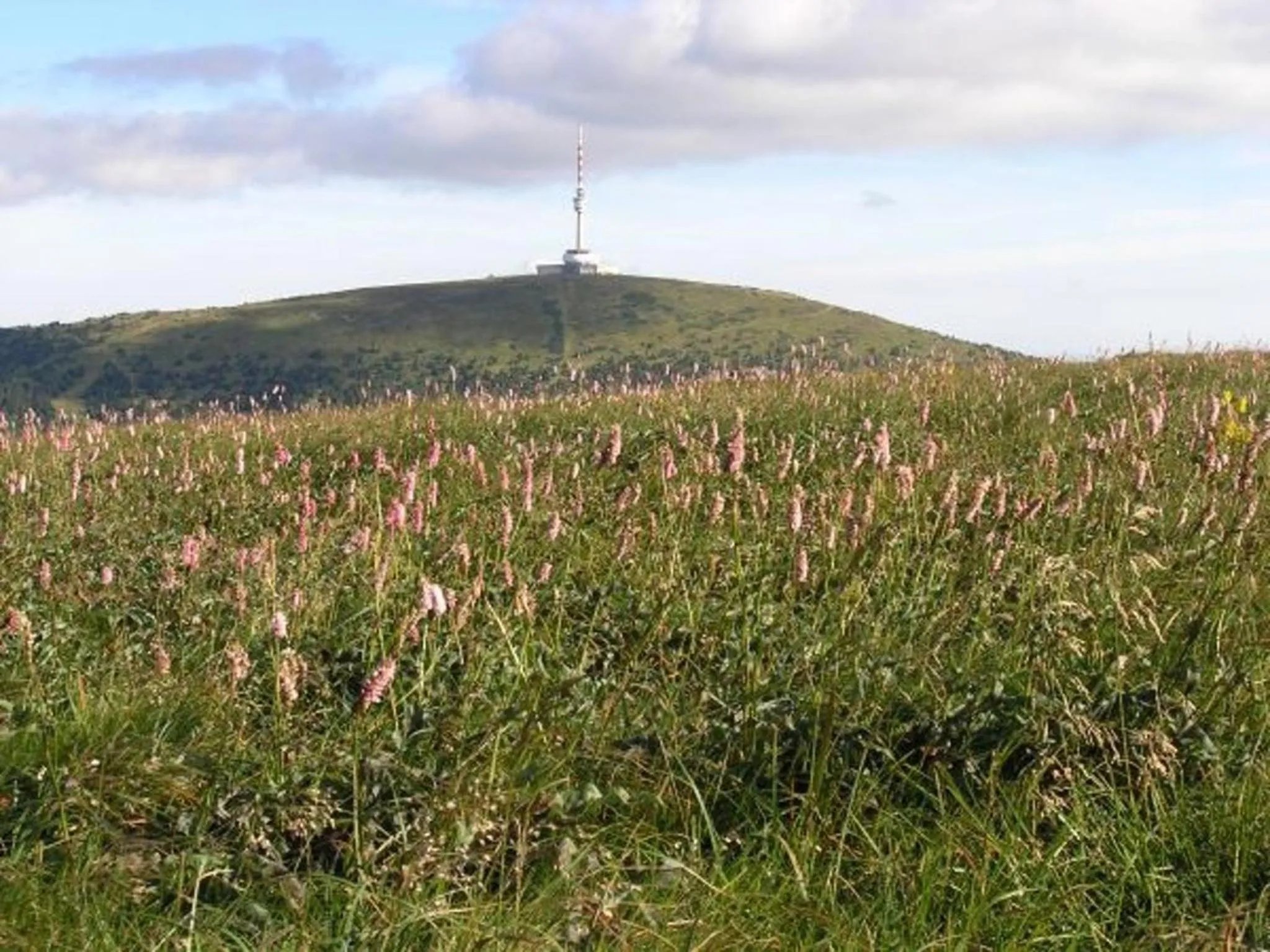 Off site in Wellness hotel Sauna