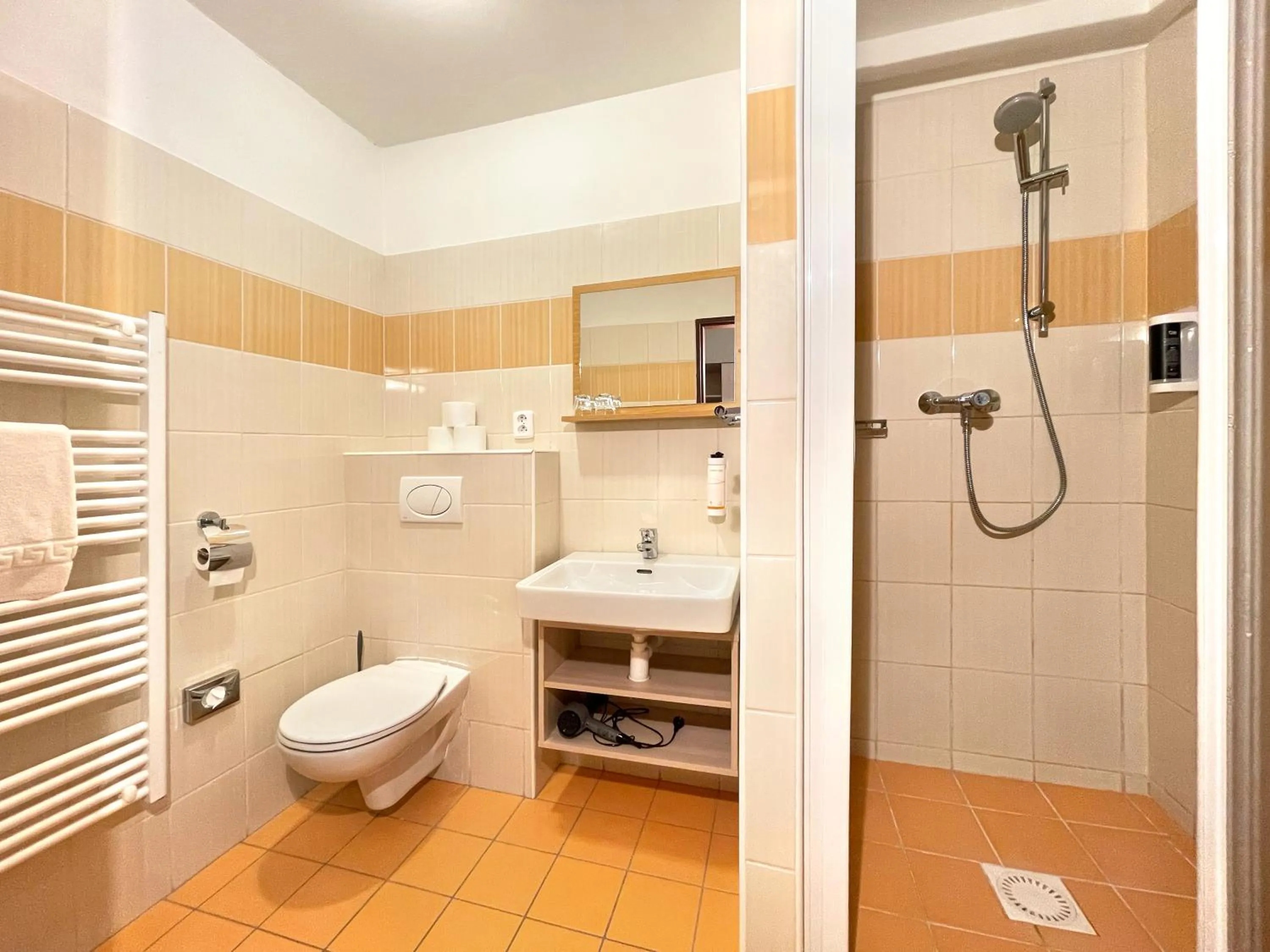 Shower in Wellness hotel Sauna