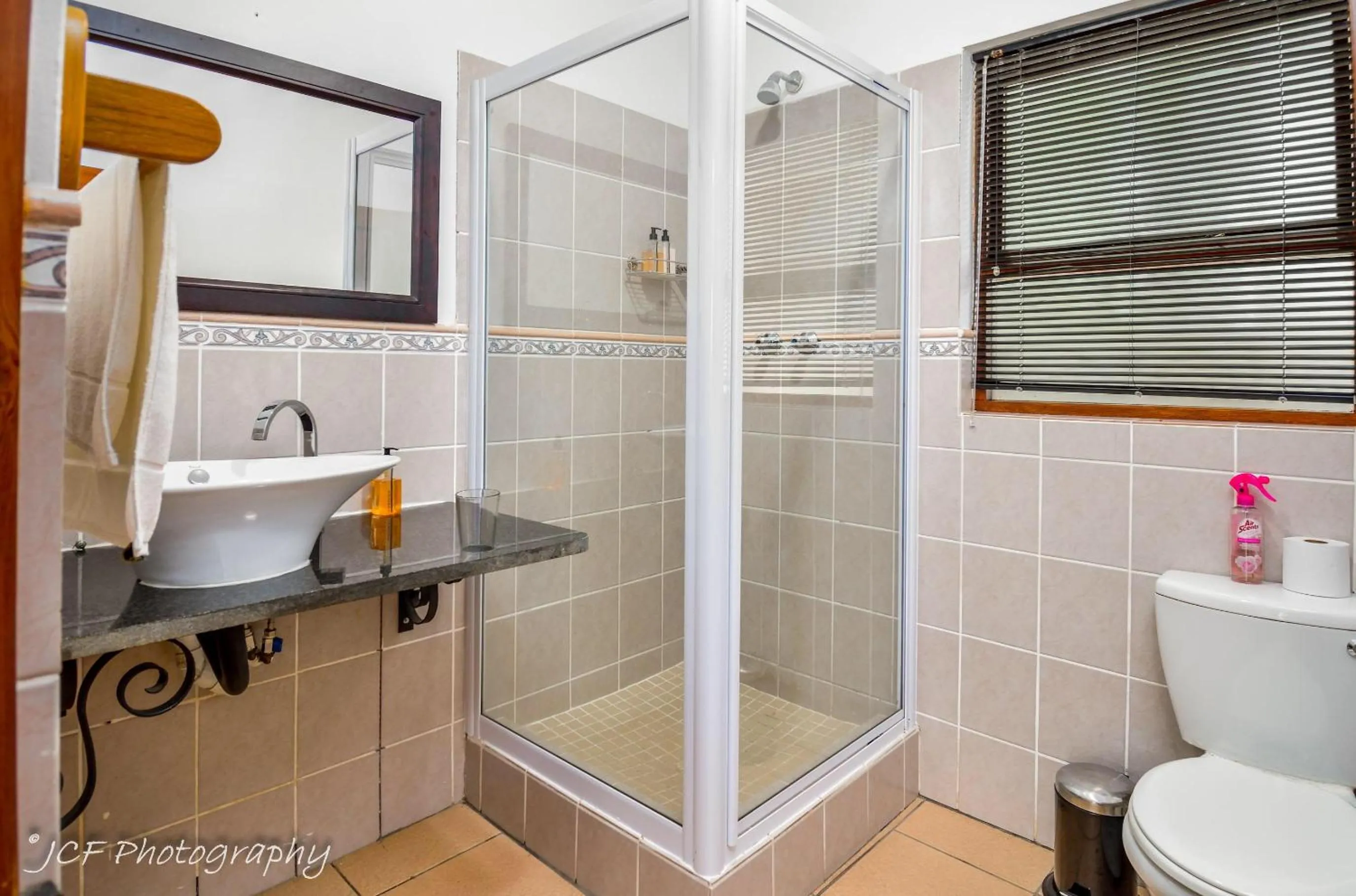 Toilet in Mountain Dew Guest House