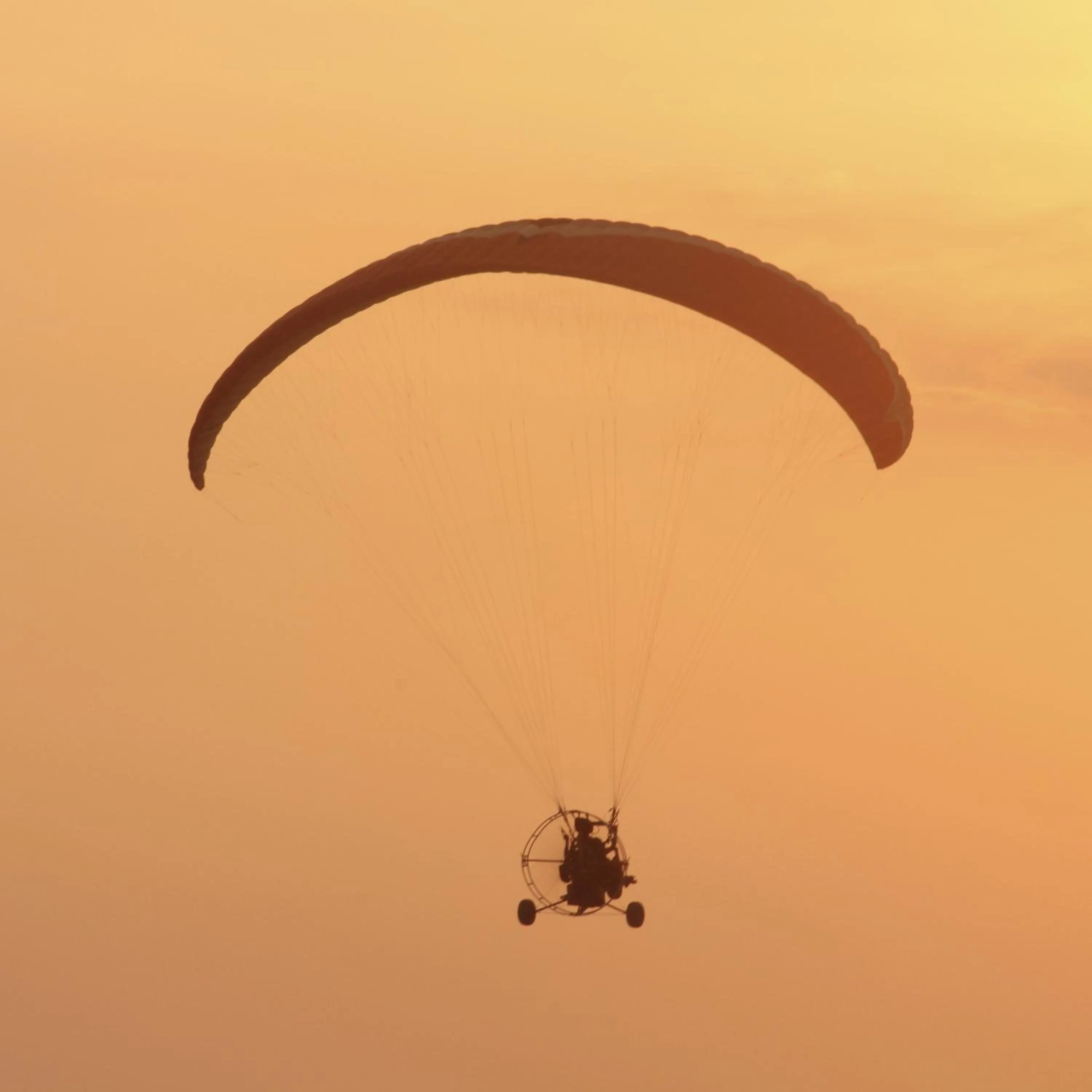 Activities in Hotel Flor de Maria