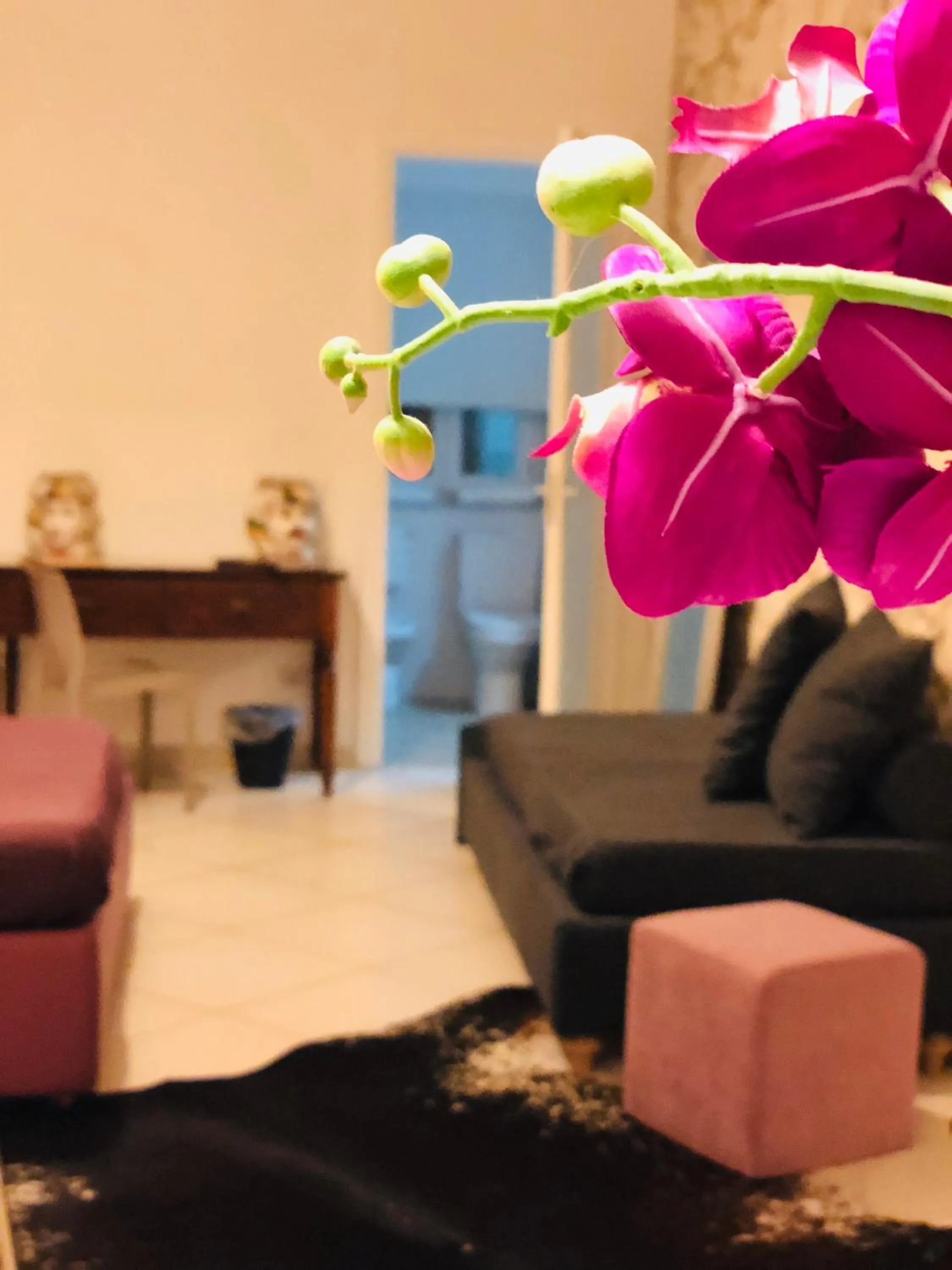 Photo of the whole room in I Santi Coronati