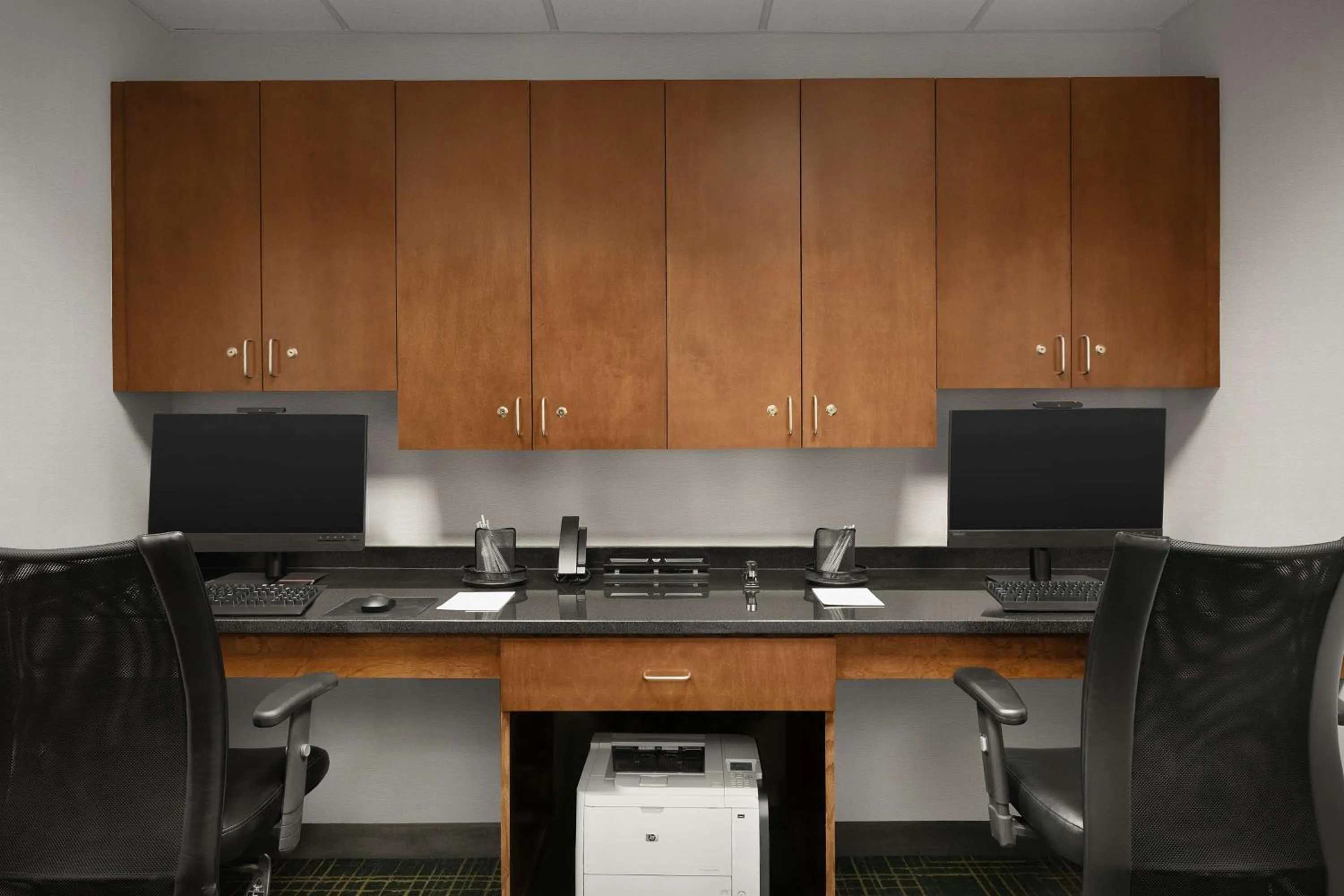 Business facilities in Hampton Inn and Suites Lynchburg