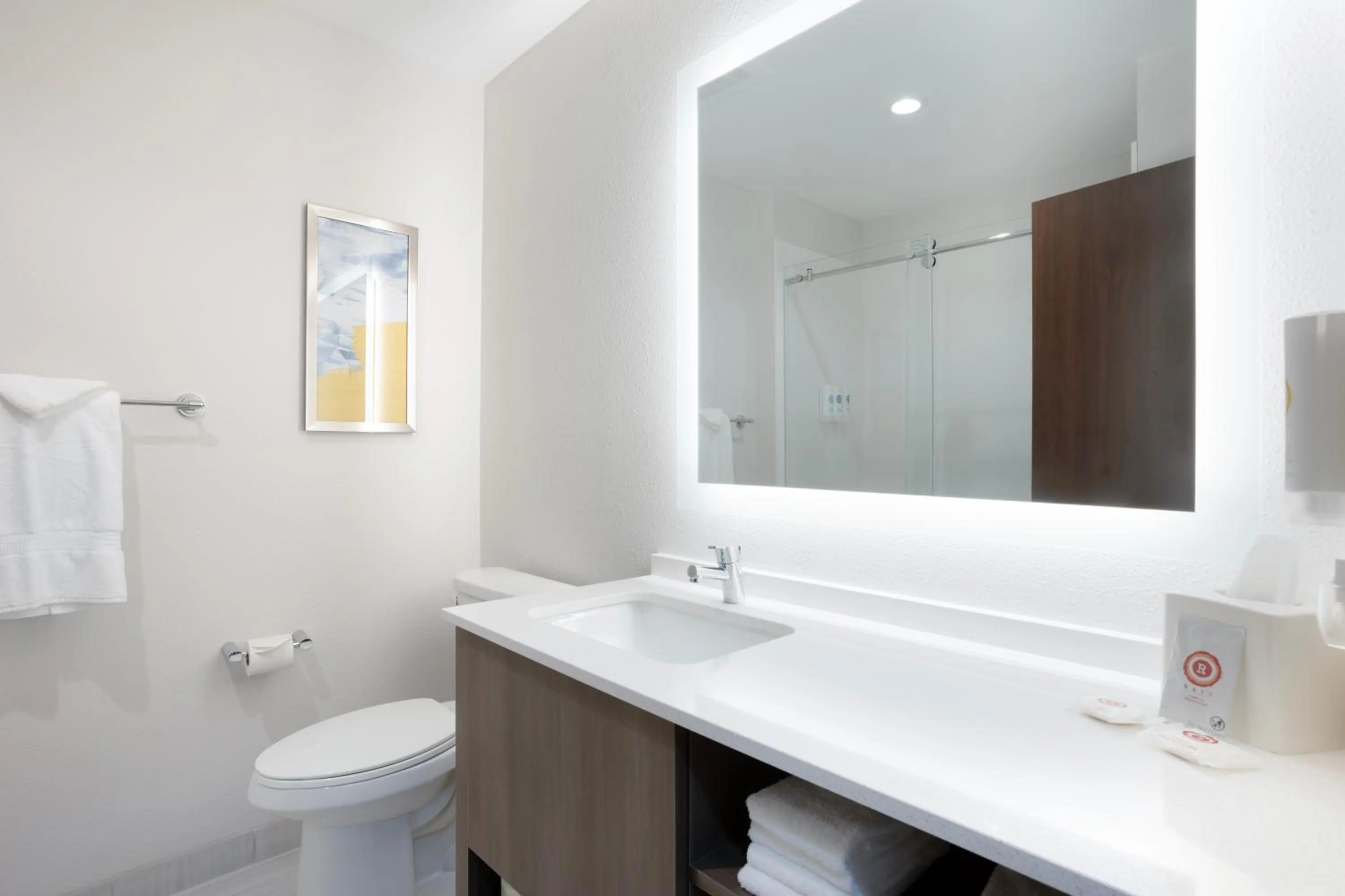 Shower in Comfort Inn & Suites Mountain Grove US-60