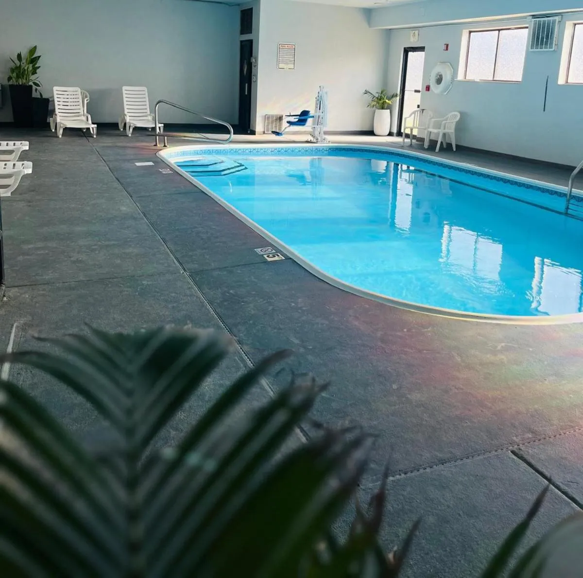Swimming pool in Edn Hotel