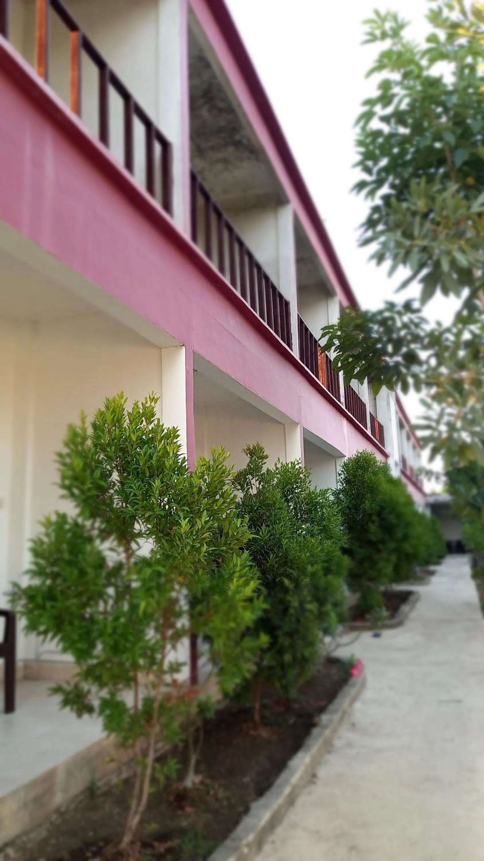 Property building in Sisilia Hotel