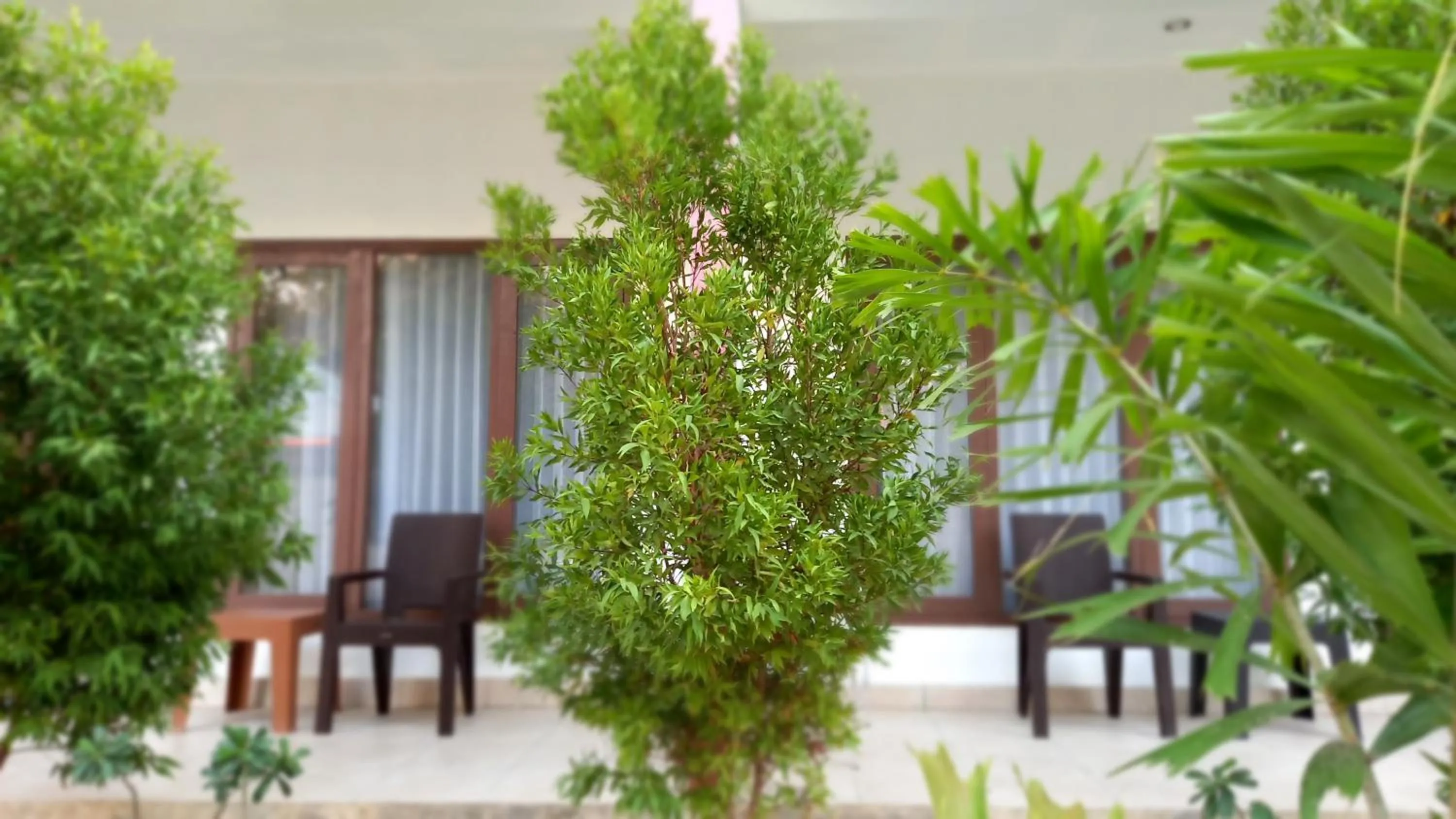 Garden in Sisilia Hotel