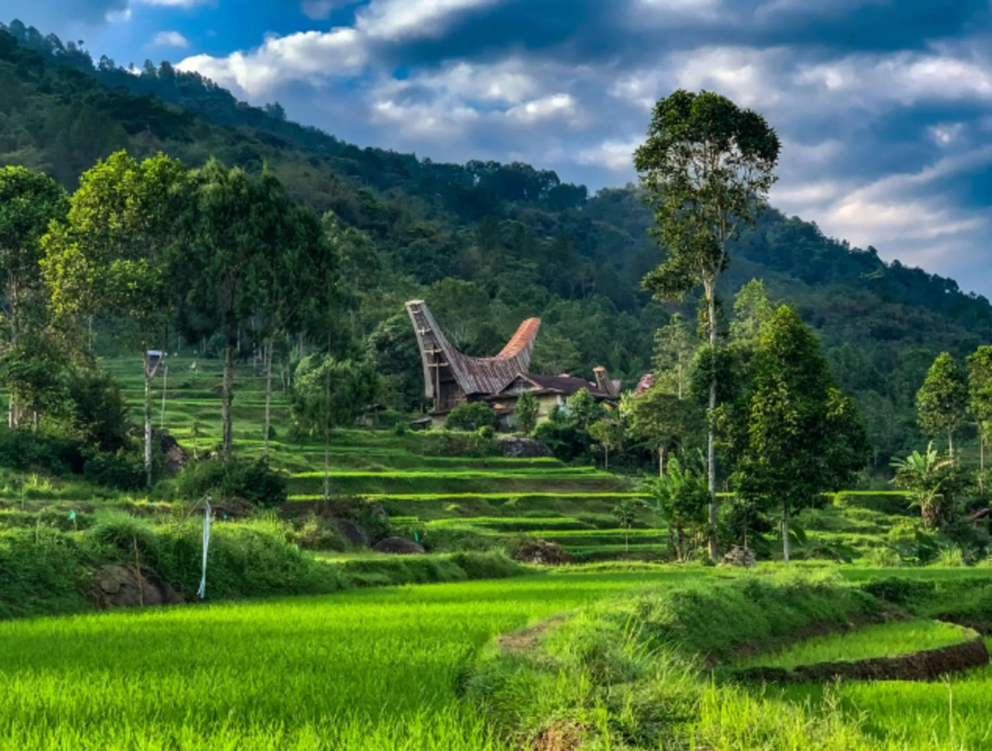Natural landscape in Santai Toraja