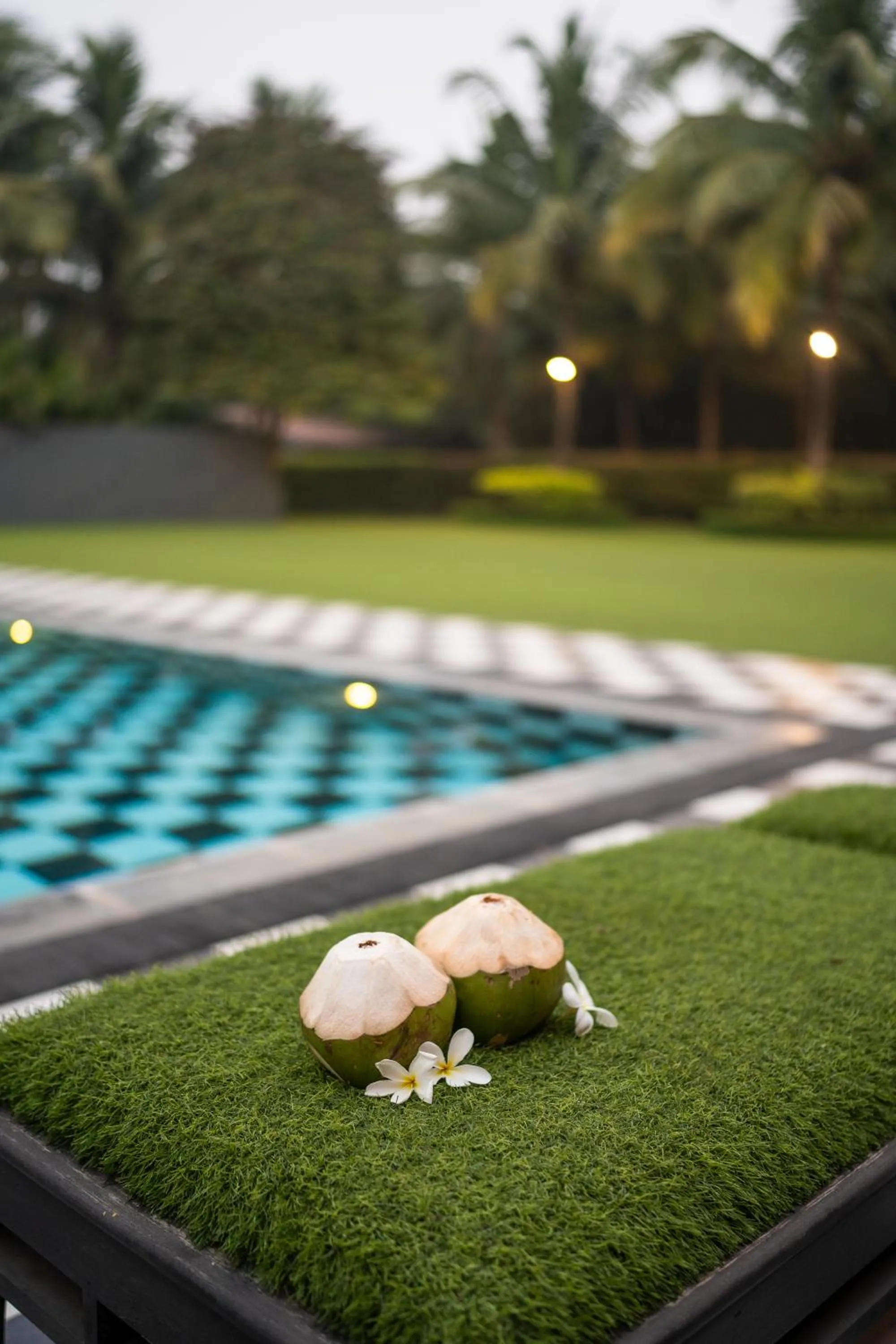 Garden in LohonoStays Villa CasaDel